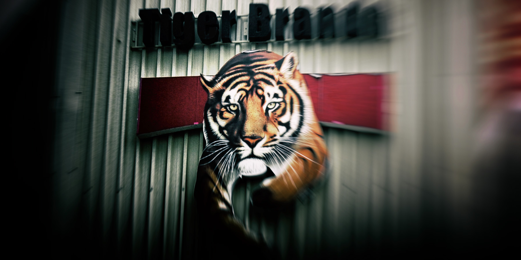 Tiger Brands share price jumps on news that CEO Noel Doyle has been axed