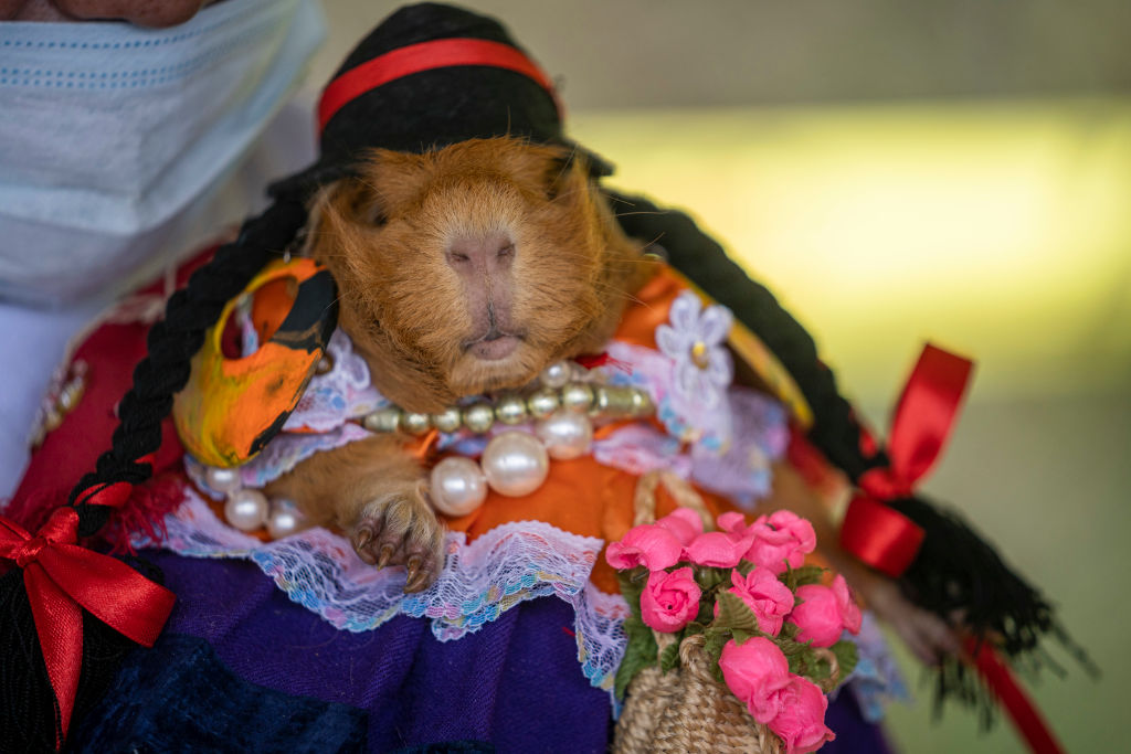 Colombians Celebrate Traditional Blacks and Whites' Carnival