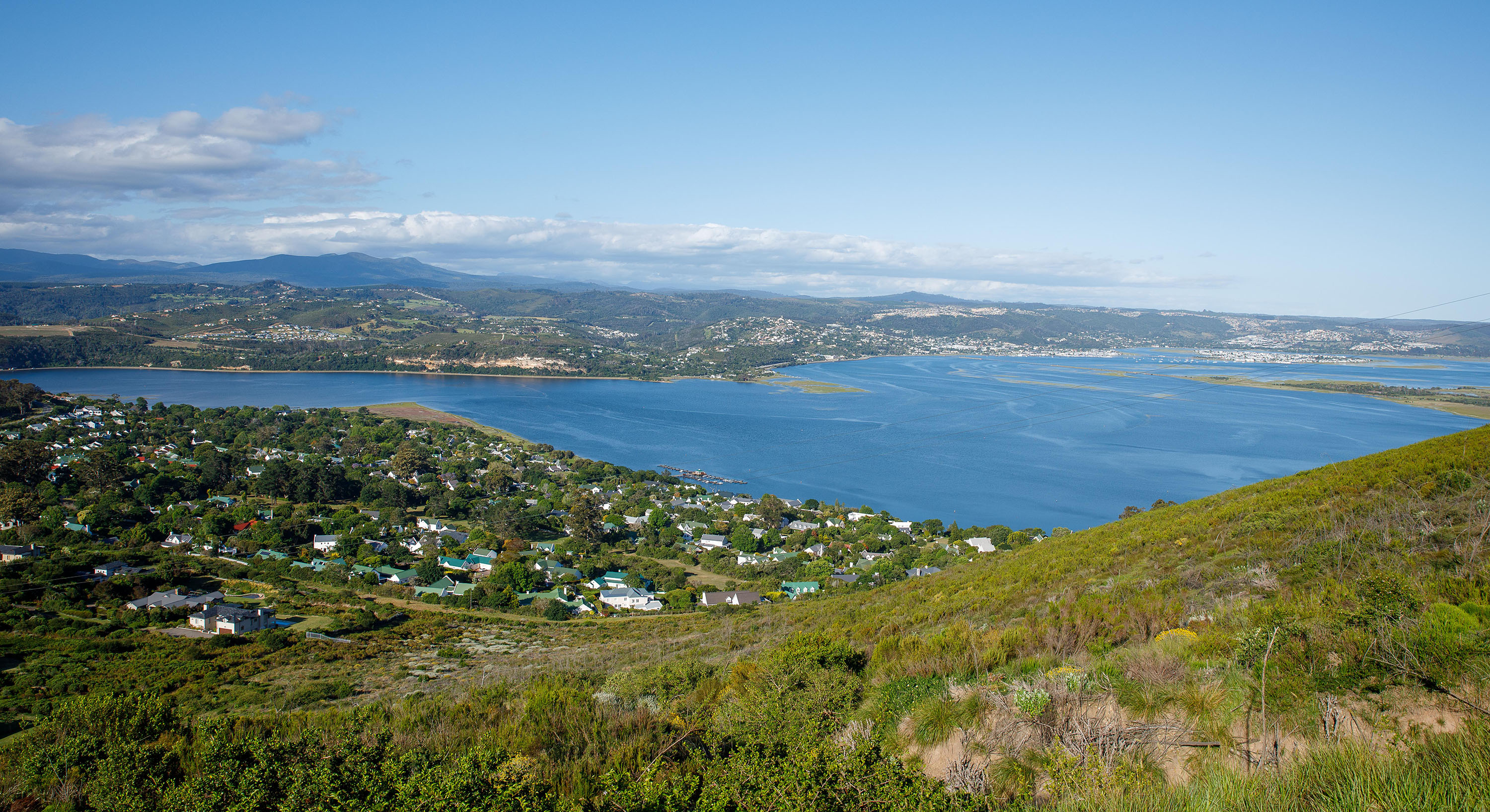 Boomslang or bust: After the fires, Knysna battles rampant mice and lingering alien vegetation
