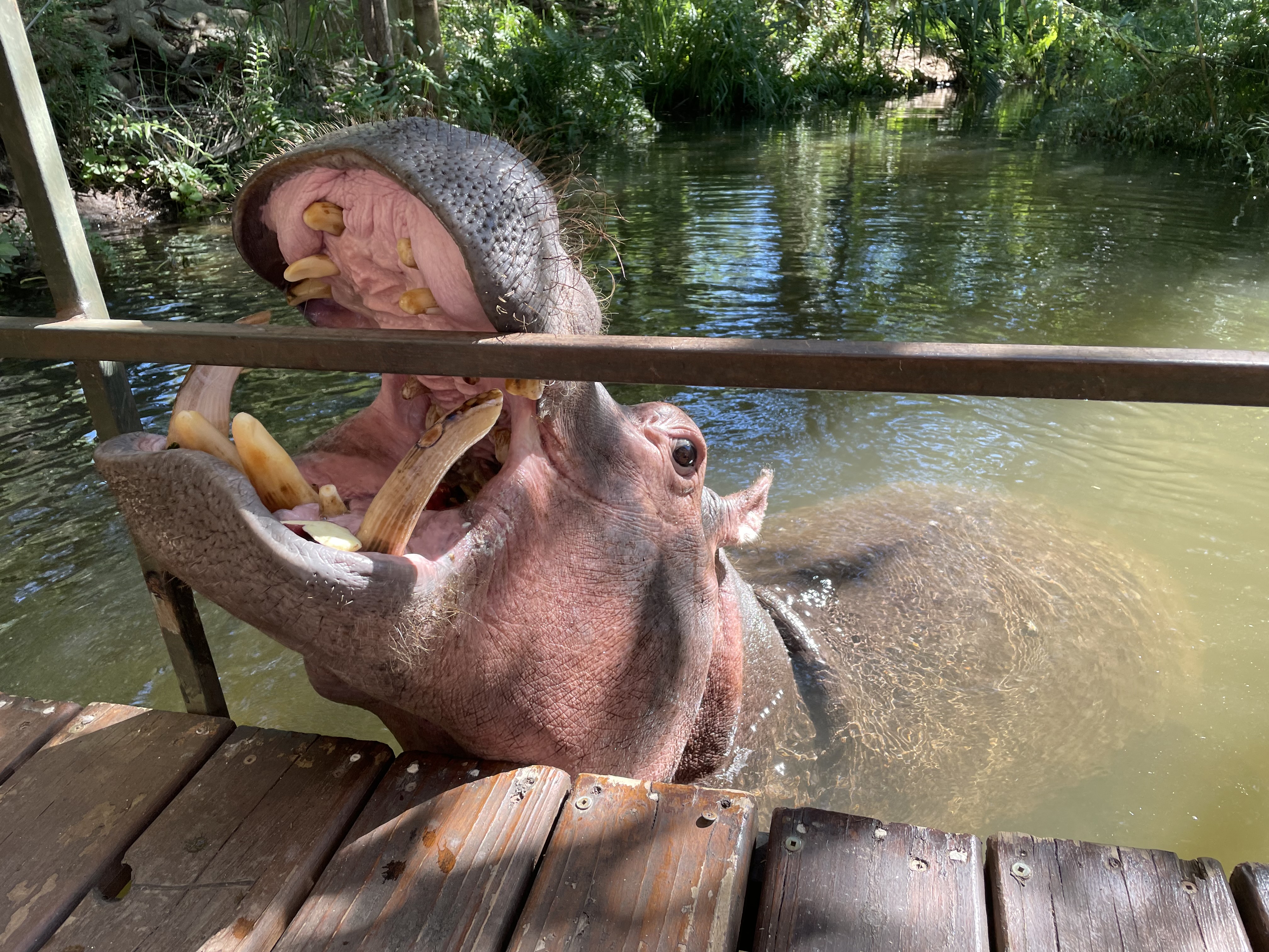 I have a picture for you! 16 January 2022 - 22 January 2022