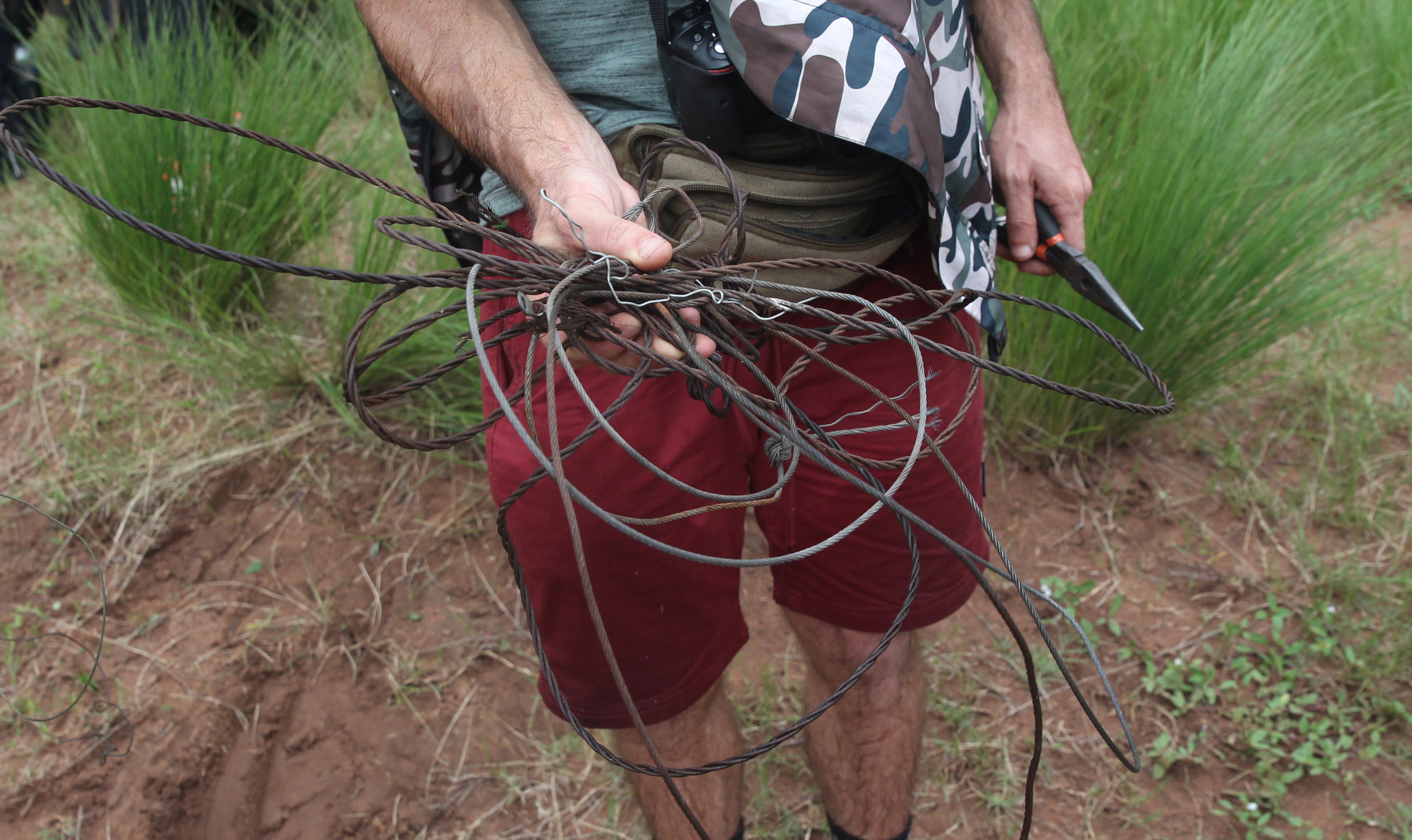 Spike in snare trap placements leading to growing number of wildlife deaths in KZN