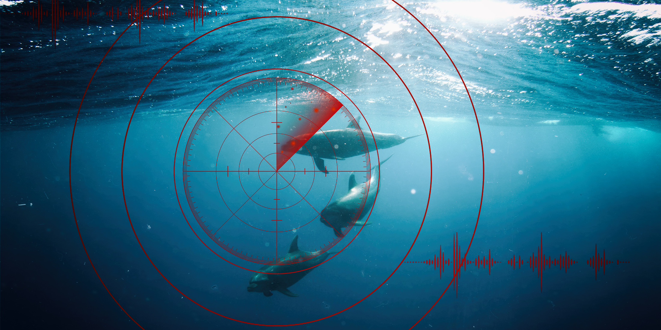 Court bid to halt West Coast seismic survey: Company asks for more time to draft responding affidavit