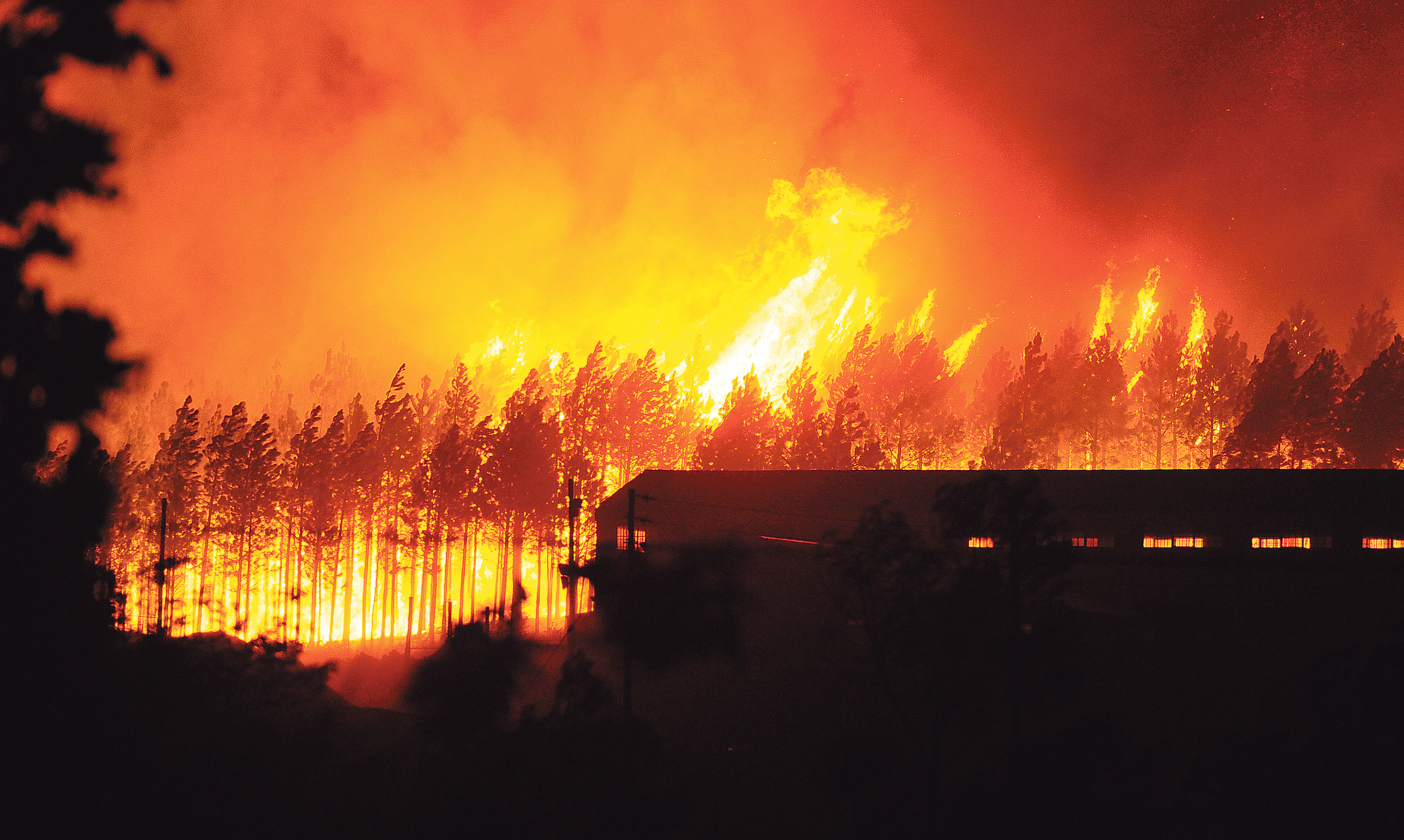 Legal clash looms over blame for devastating 2017 Knysna fires