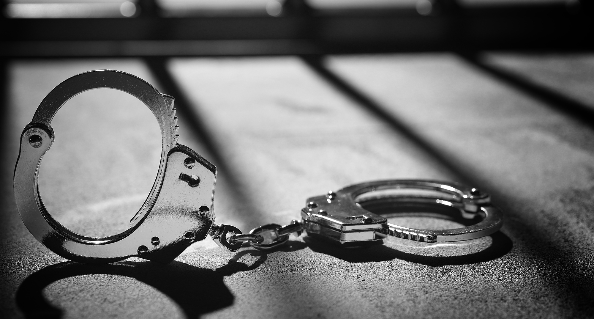 Daily roll call of arrests, NPA prosecutions and convictions – 2 February 2022