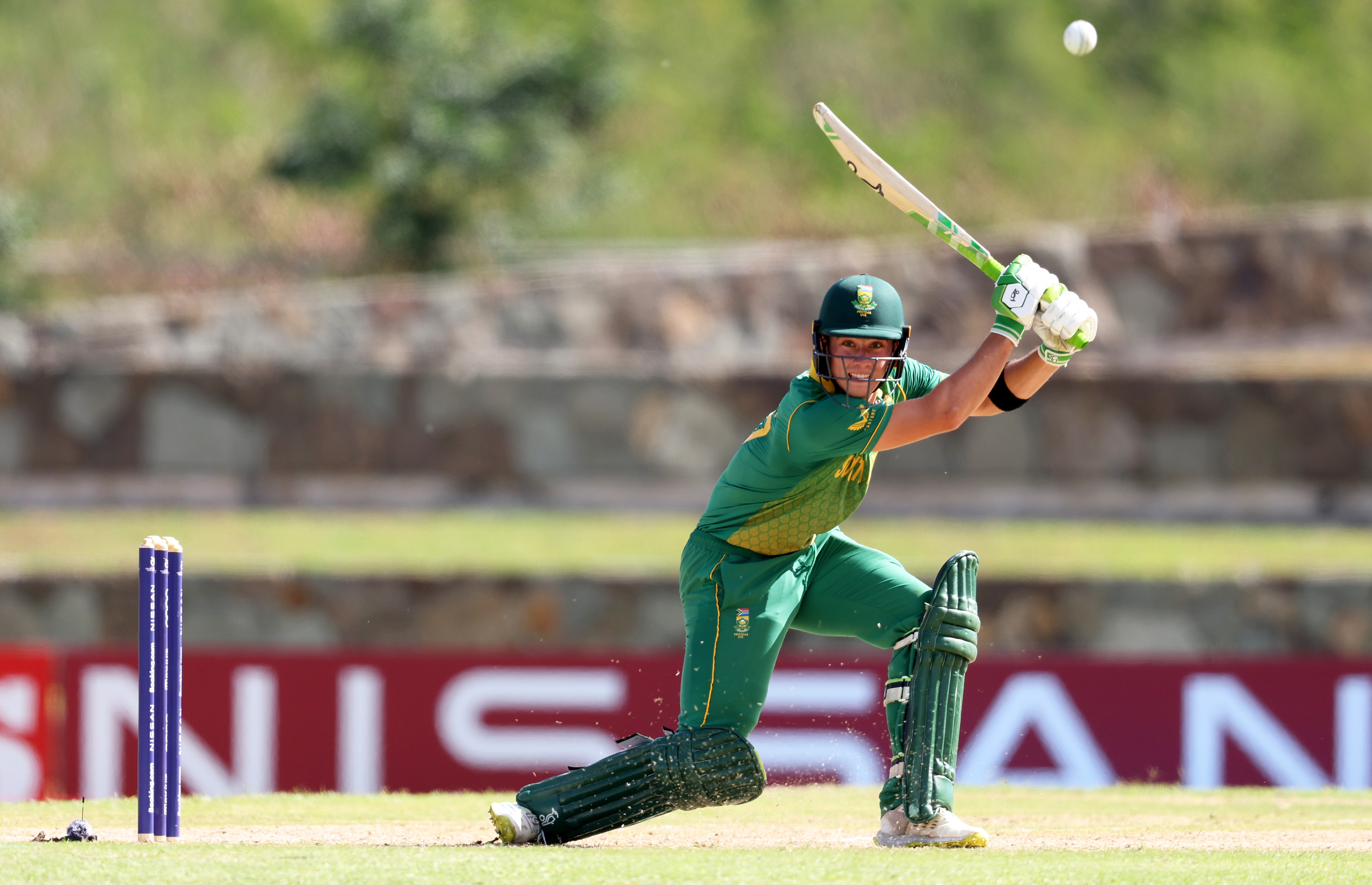 Pitch perfect: Rising star Dewald Brevis has the world at his feet