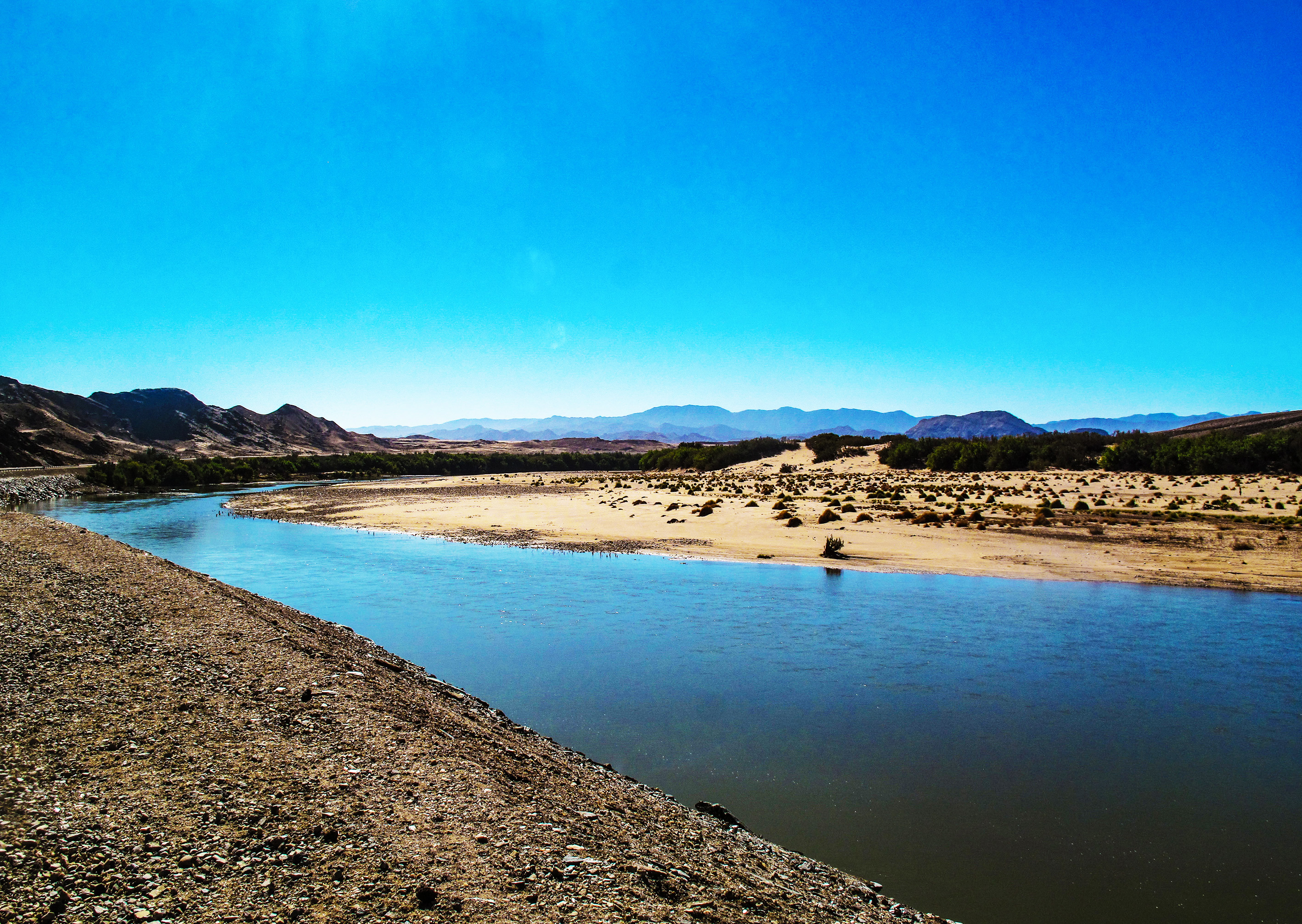 Adrift in a sea-washed Karoo of succulent and Sperrgebiet