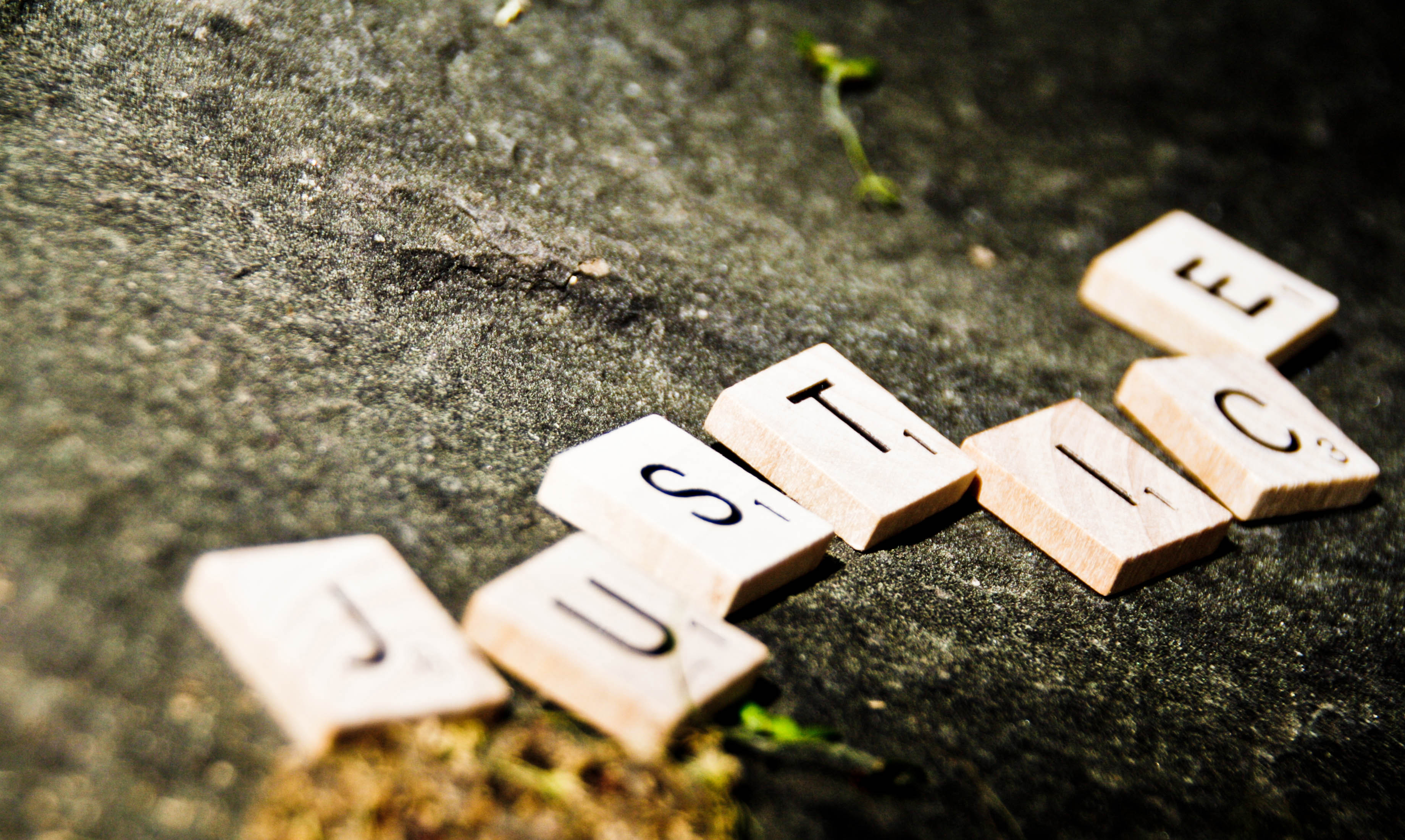 Daily roll call of arrests, NPA prosecutions and convictions – 21 February 2022