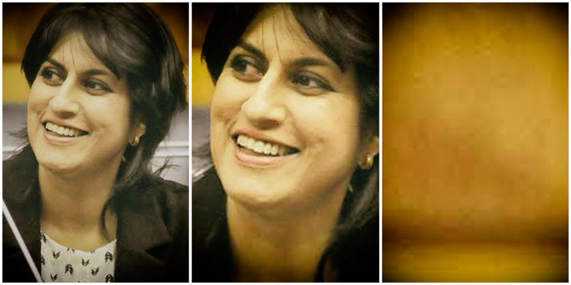 In the eye of the storm: 17 years and three intelligence inspectors-general later, advocate Jay Govender has seen it all