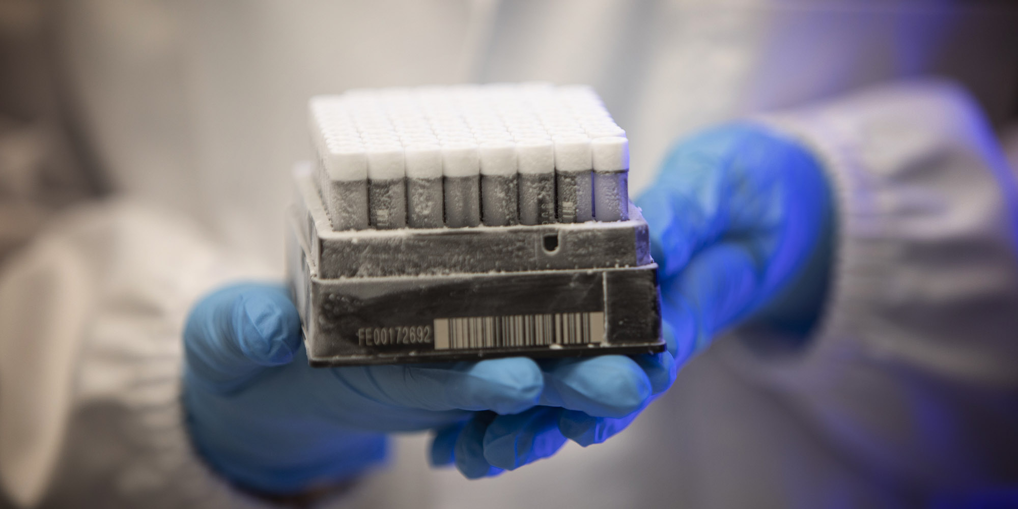 Bloomberg-Global-Update13/2 option 2