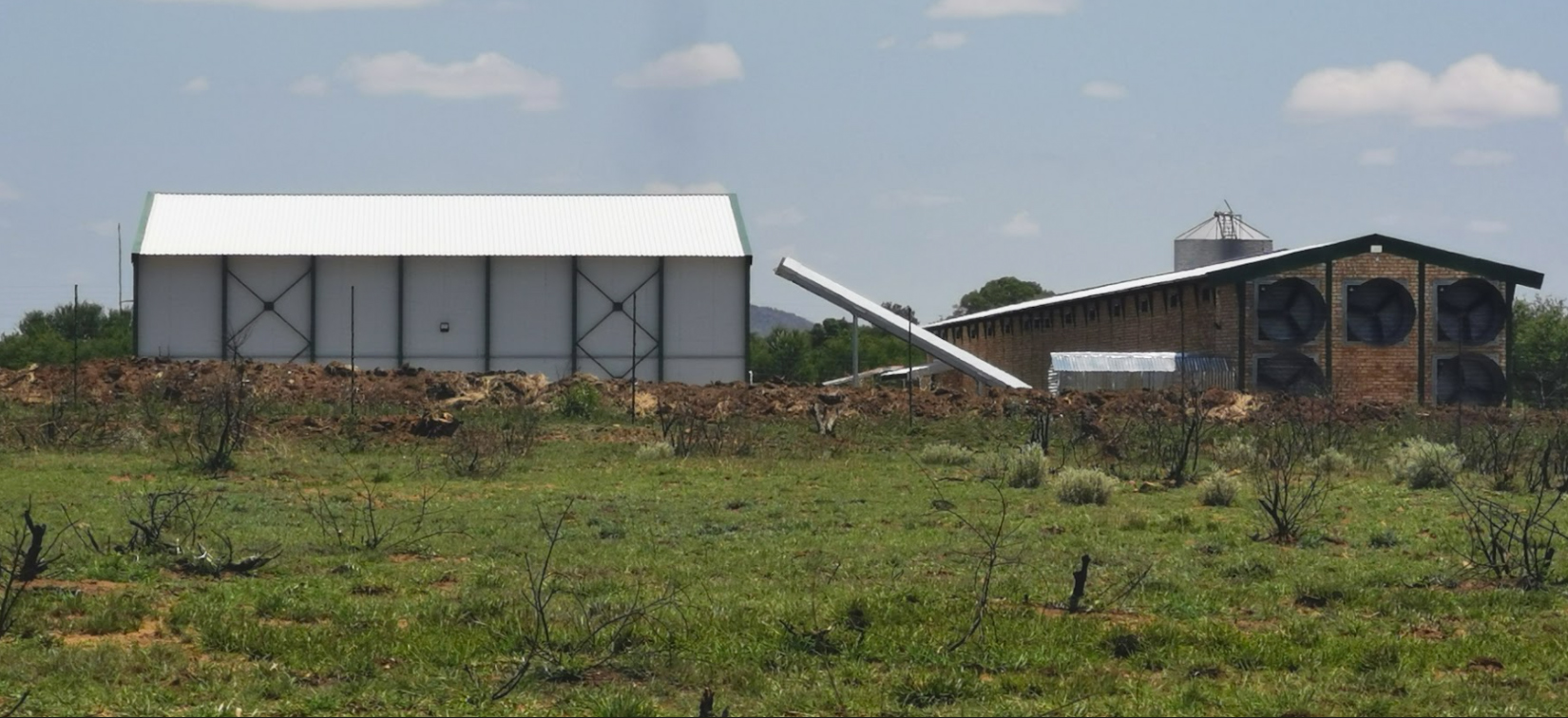 Fowl Play: Former NLC board member received millions linked to Lottery grants