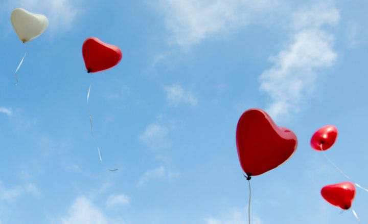 Three podcasts delve into the beauty and complexities of relationships, including the love between a whale and its calf