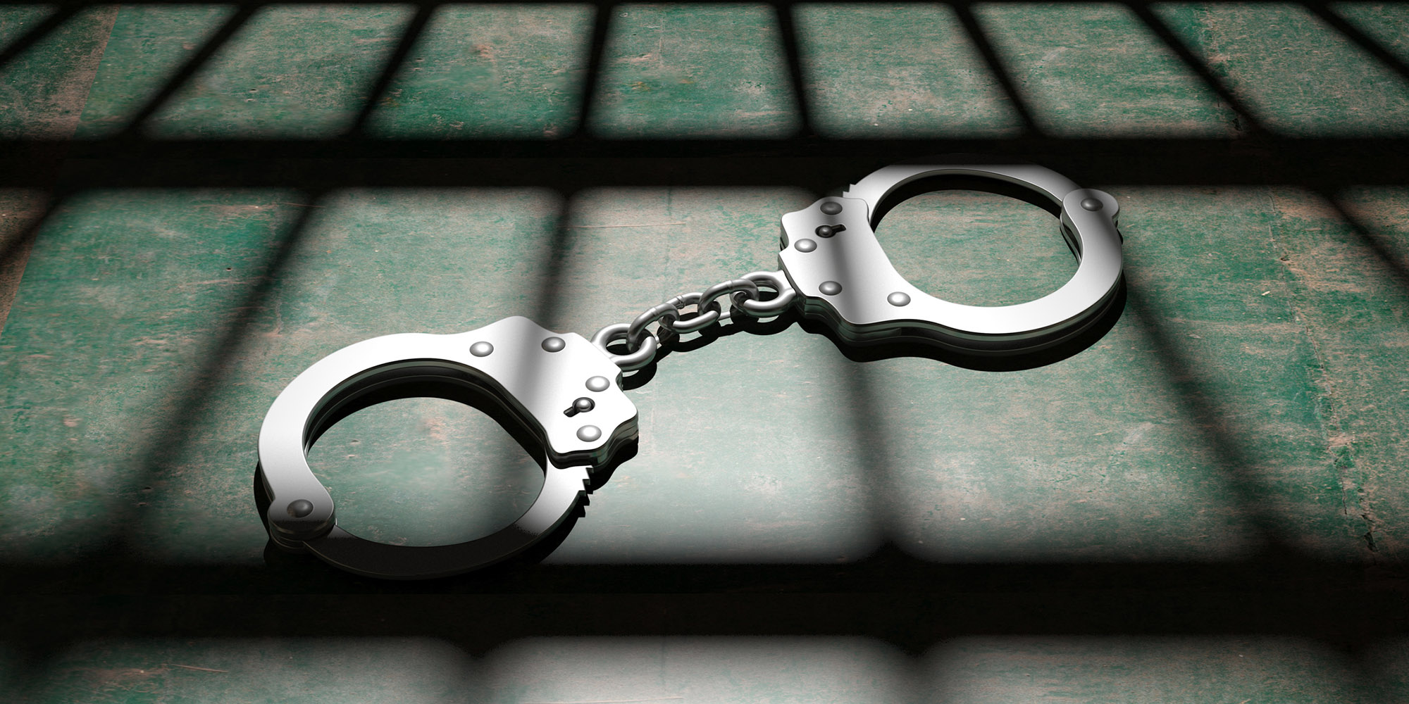 Daily roll call of arrests, NPA prosecutions and convictions – 24 February 2022