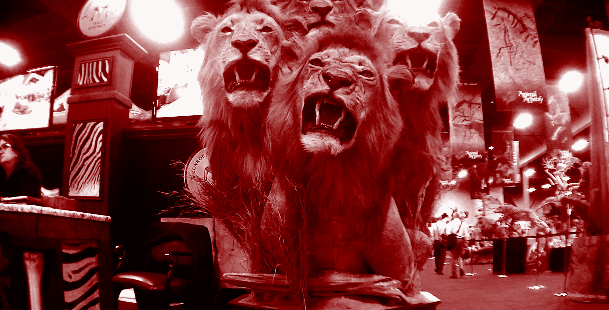 Wealthy Russians Hit by Travel Curbs Go Hunting in Zimbabwe