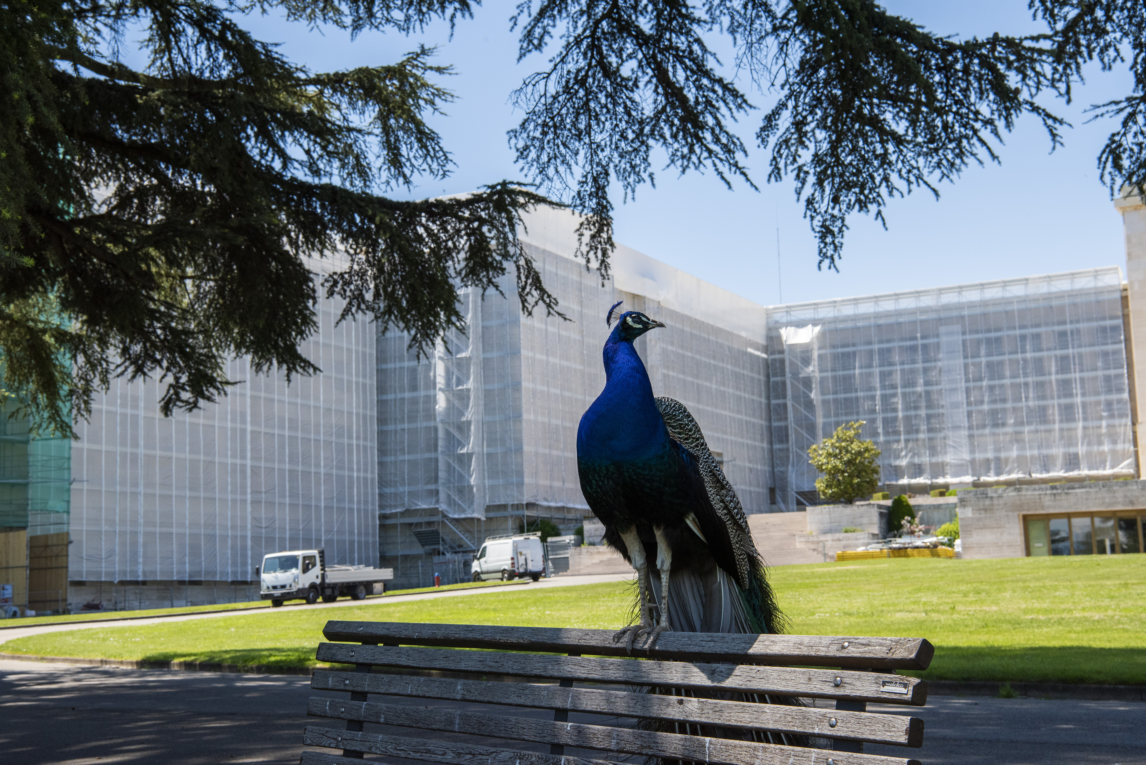 2022 Sony World Photography Awards: Landscape and Architecture