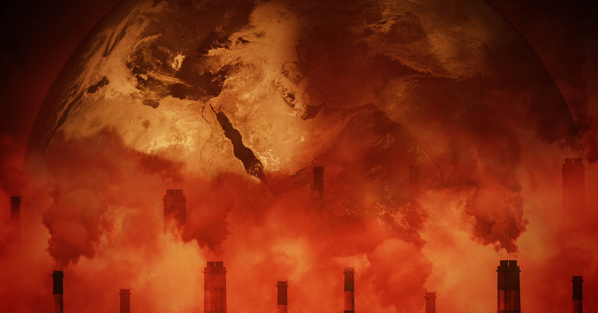 The sixth mass extinction is happening now, and it doesn’t look good for us