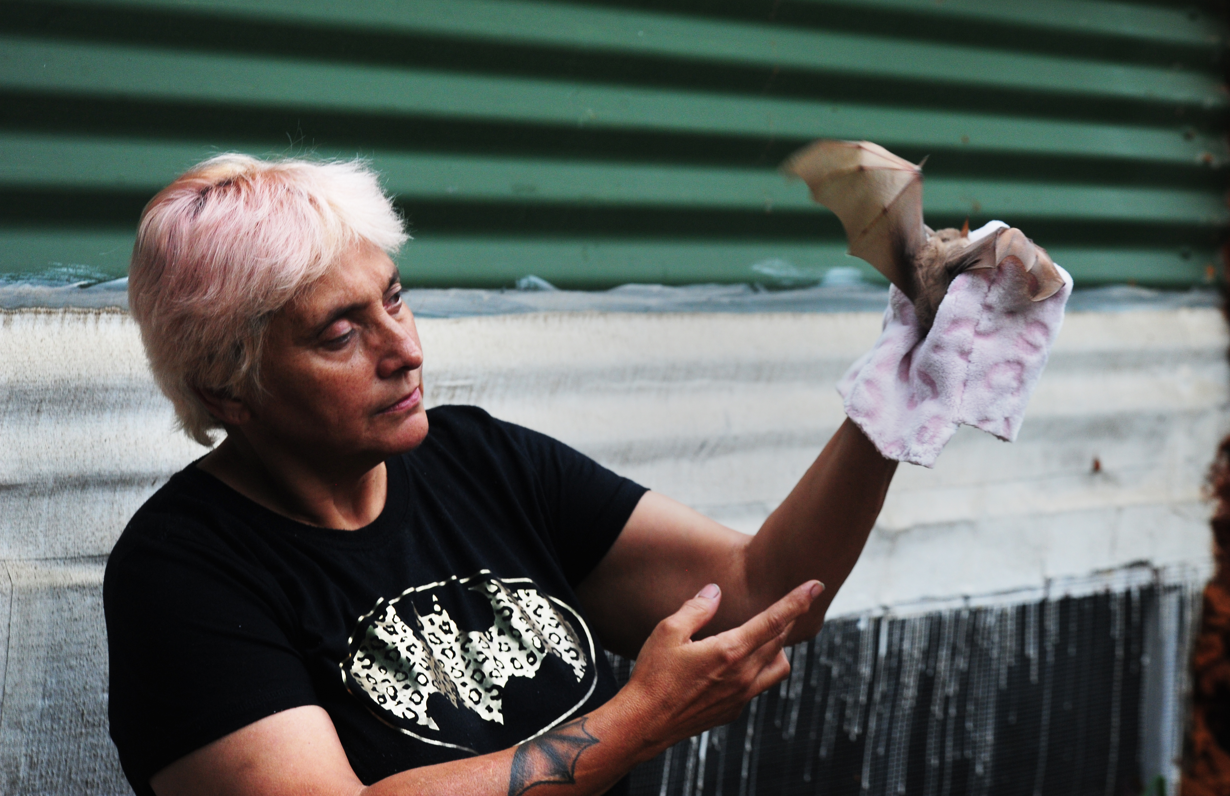 ‘Batwomen’ heroines swoop in to save misunderstood creatures of the night