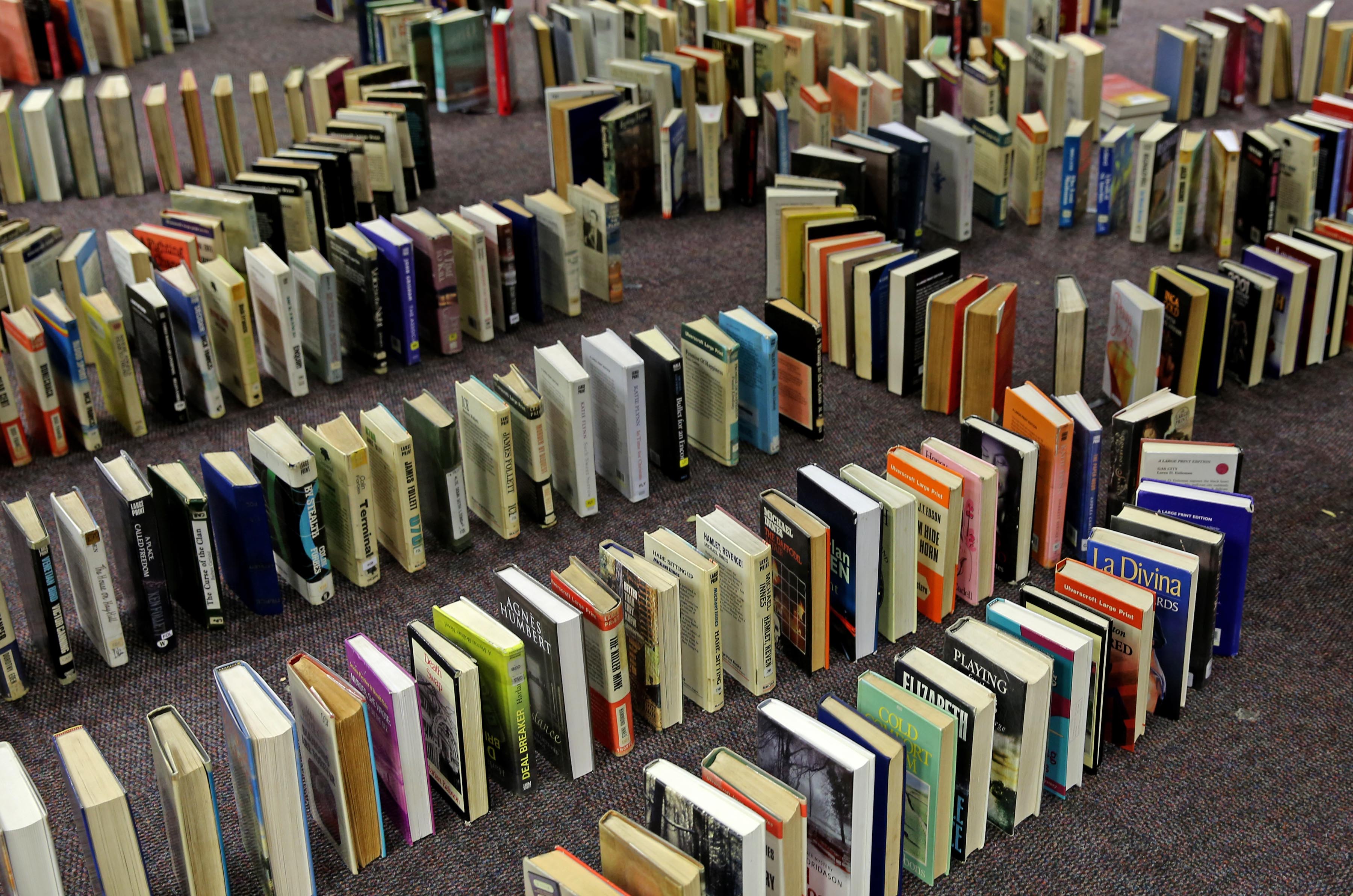 Countdown to the Open Book Festival: A learning powerhouse that adds colour to our cognitive deficits