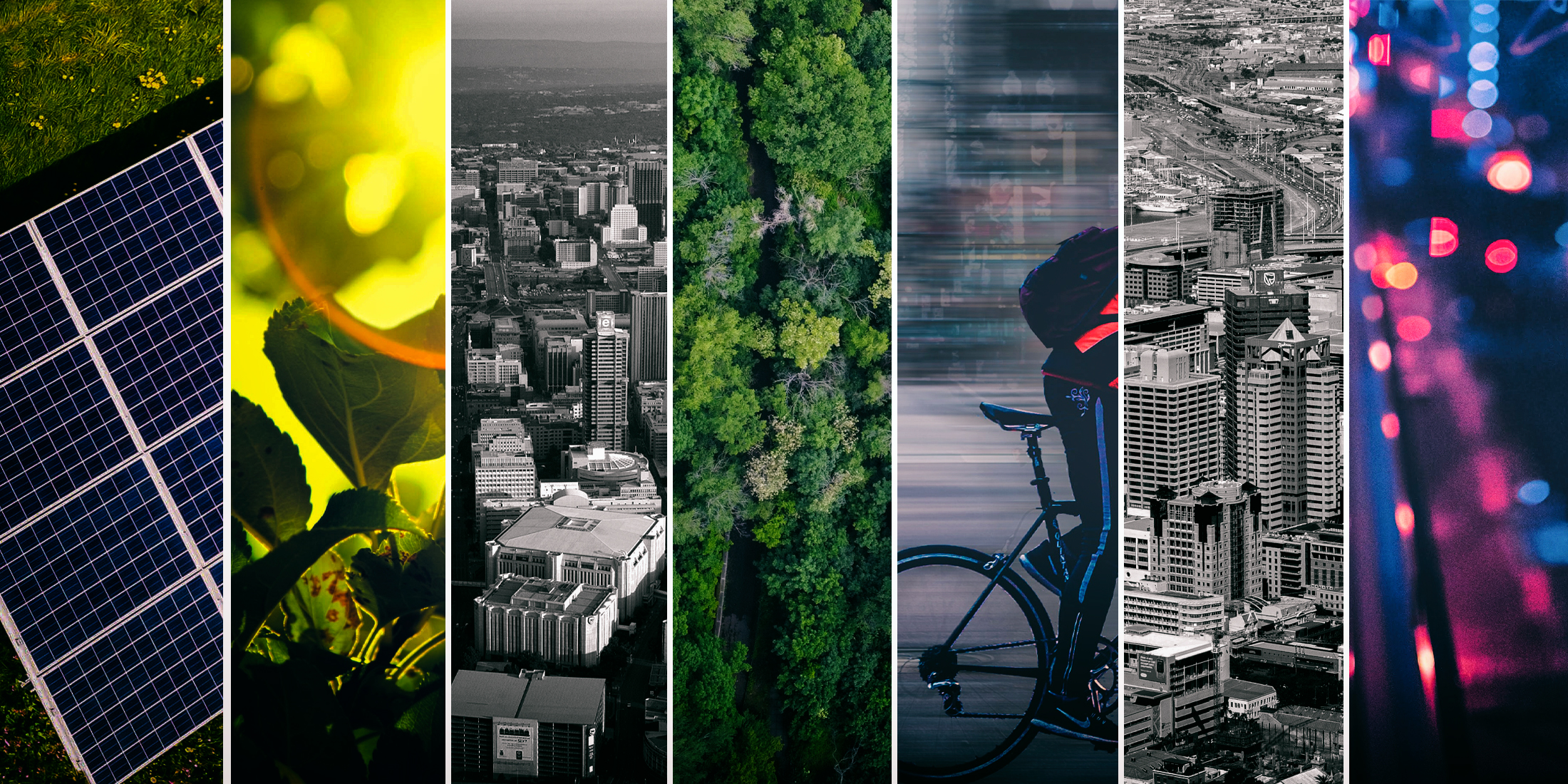 Climate crisis action by SA could create and support 1.8m green jobs by 2030