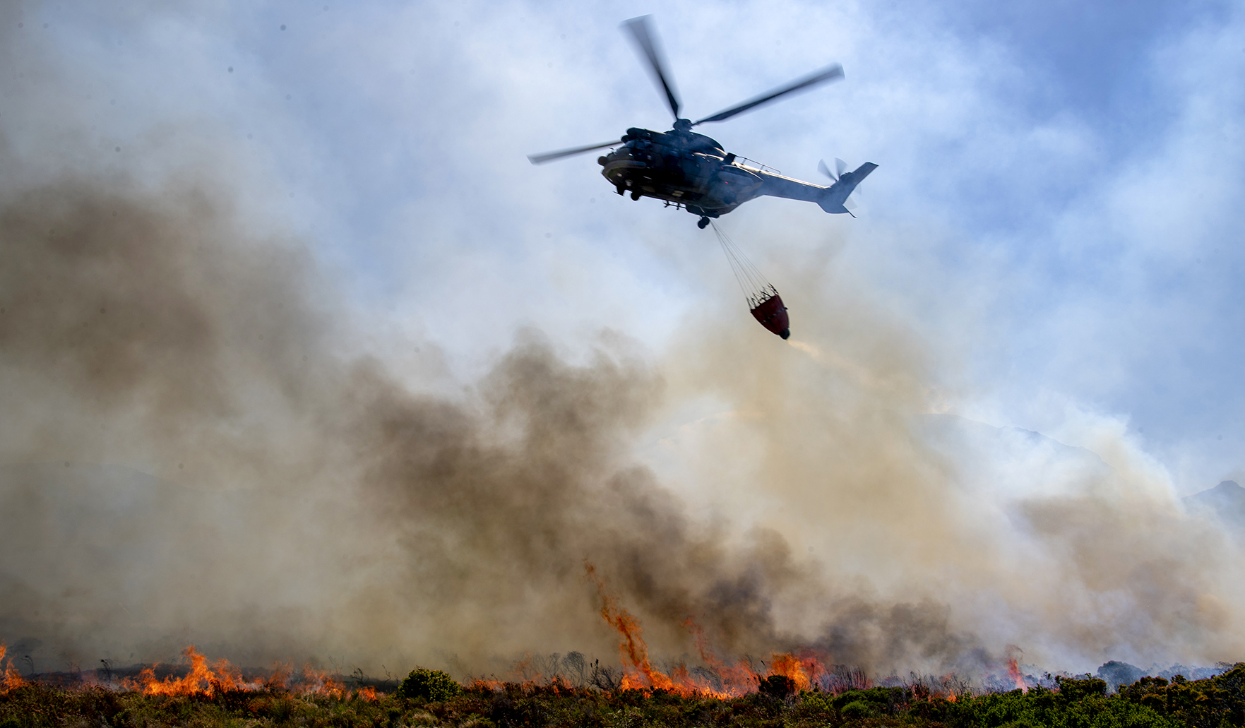 Ignoring past lessons will cost the people and the precious biodiversity of the Cape Floral Kingdom
