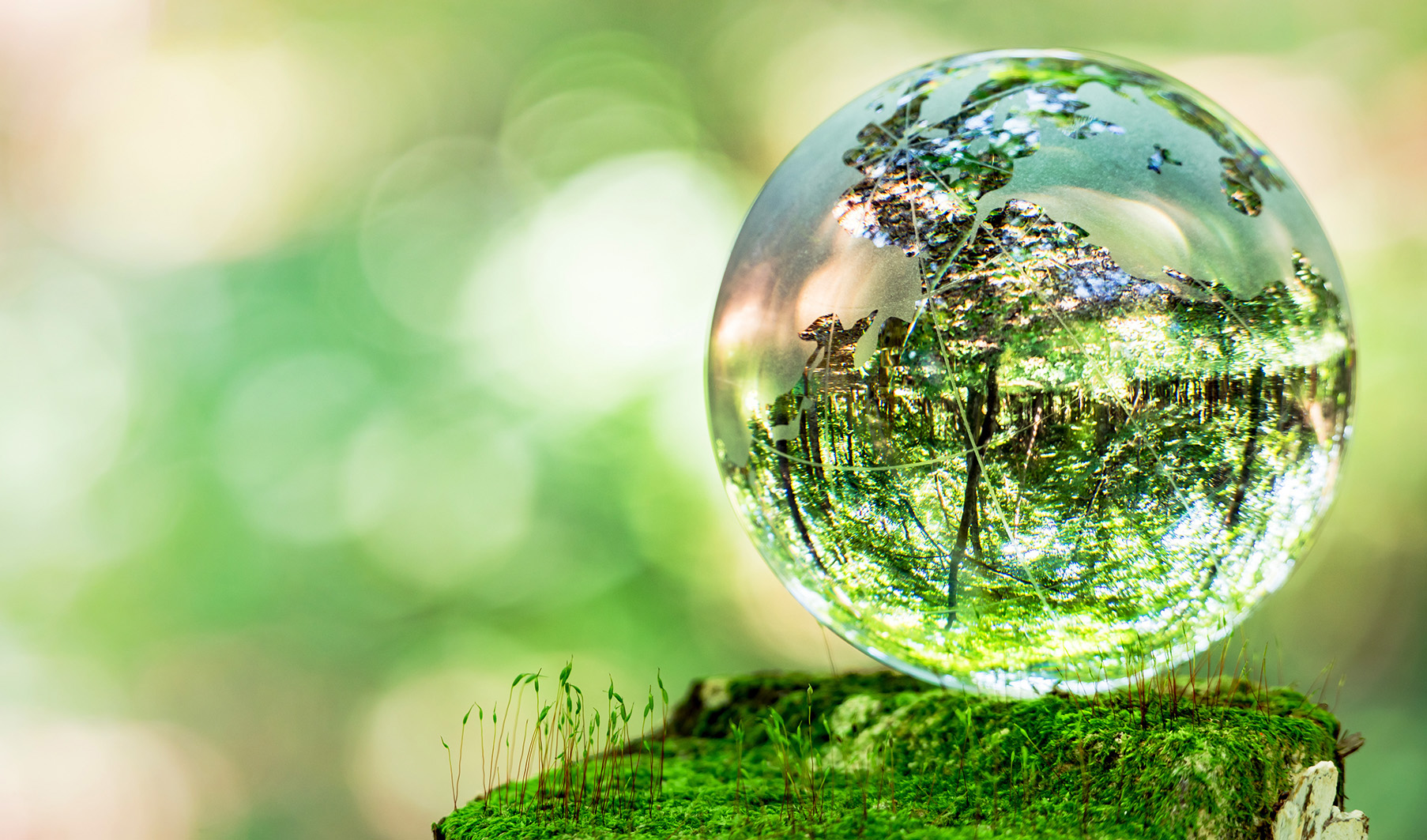 Respecting the rights of nature is the only way out of climate chaos and biodiversity collapse