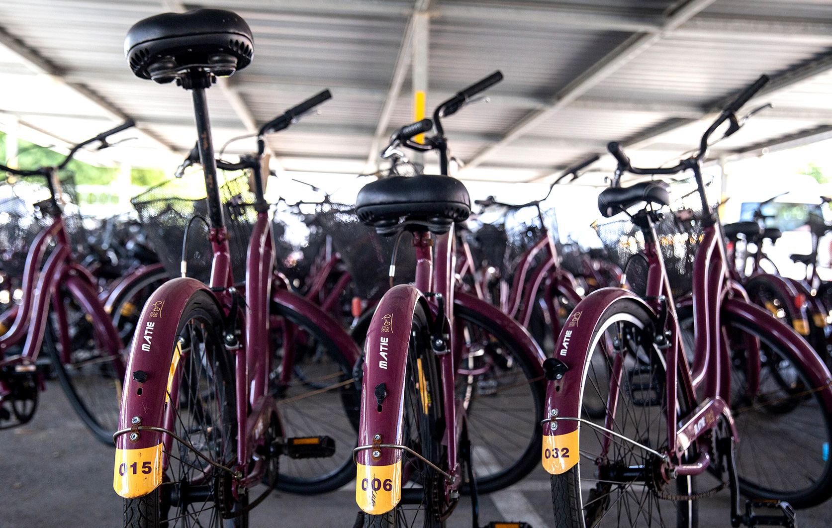 Vision of a sustainable, car-free transport future for Stellenbosch