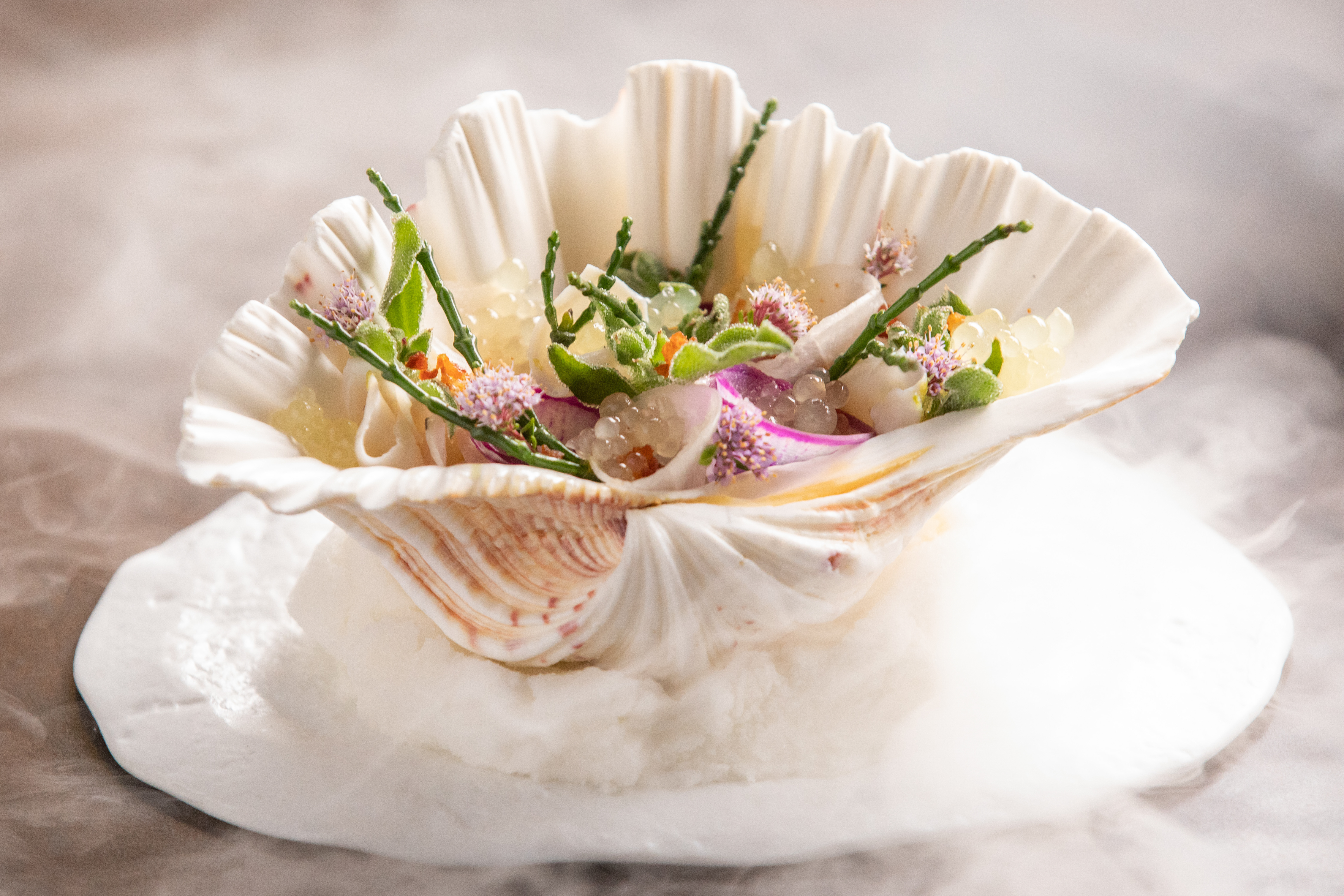 bianca-callan-masterchef dem dish