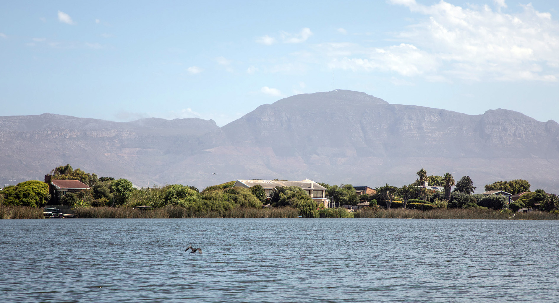 Stakeholders flag City of Cape Town’s ‘lack of urgency’ in fixing ageing infrastructure blamed for Zeekoevlei sewage spillages