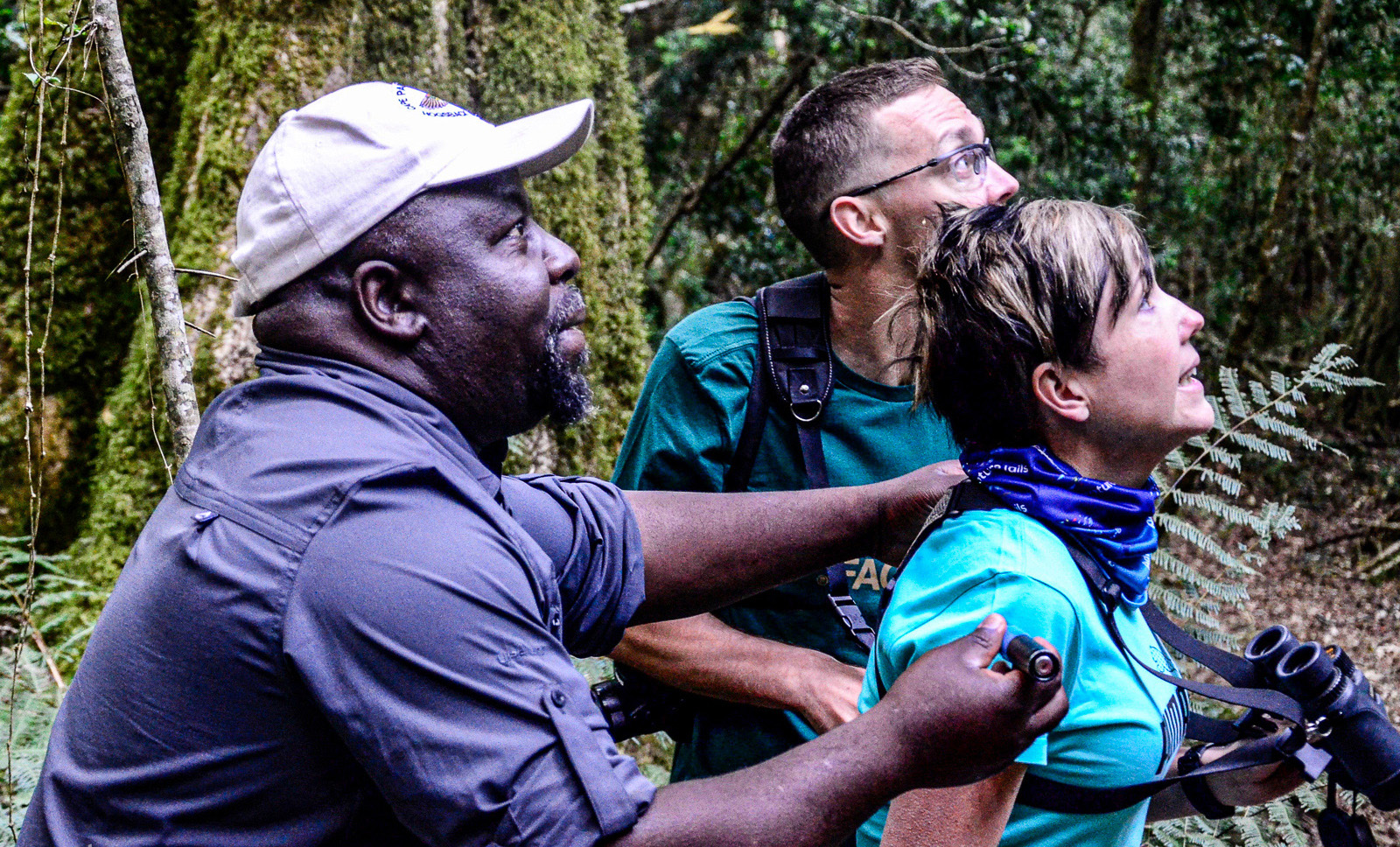 Guides taking twitchers under their wings to discover the best of Limpopo’s diverse avian life