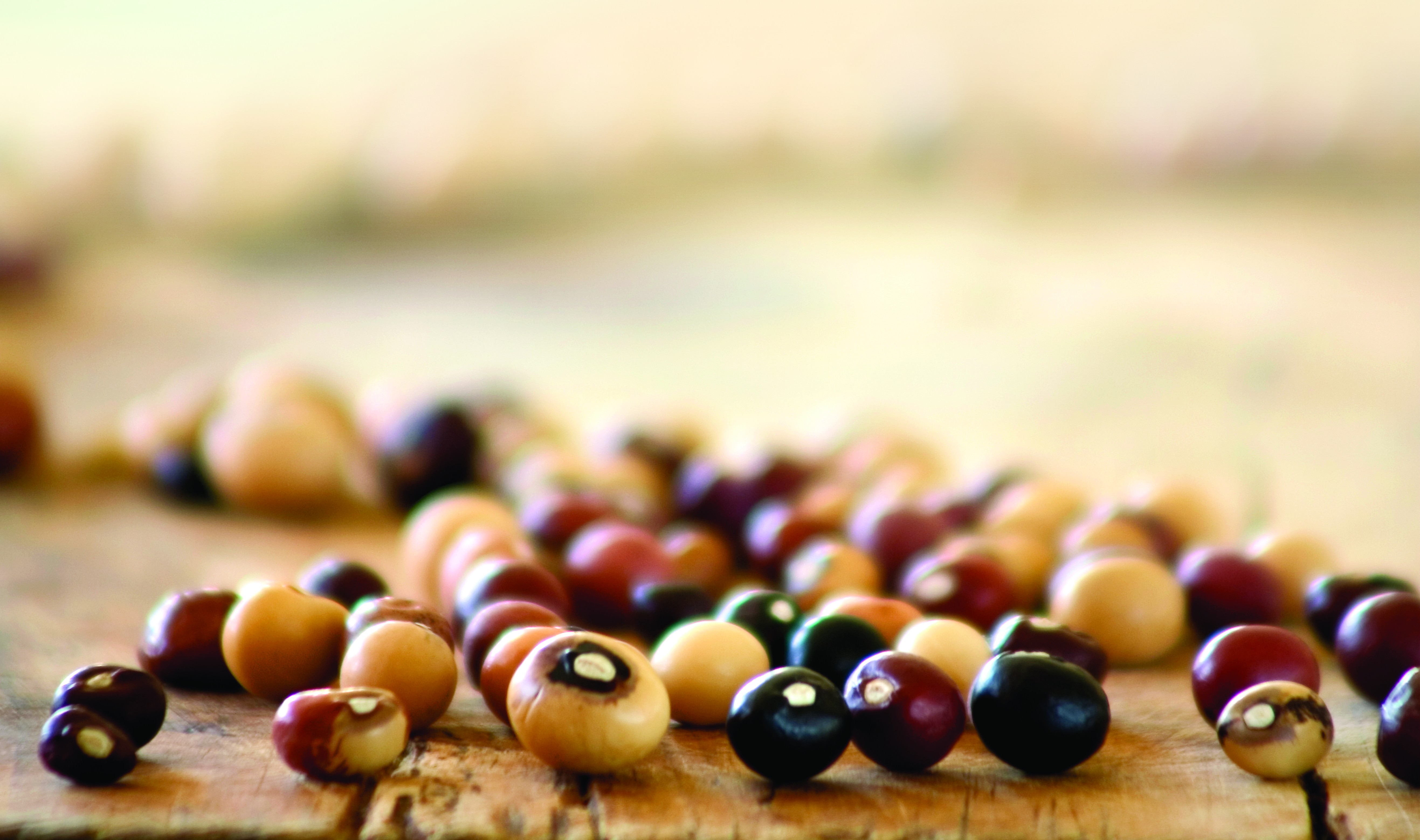 Jugo beans bought at Rivonia Market, Khutsong (Photo Anna Trapido)