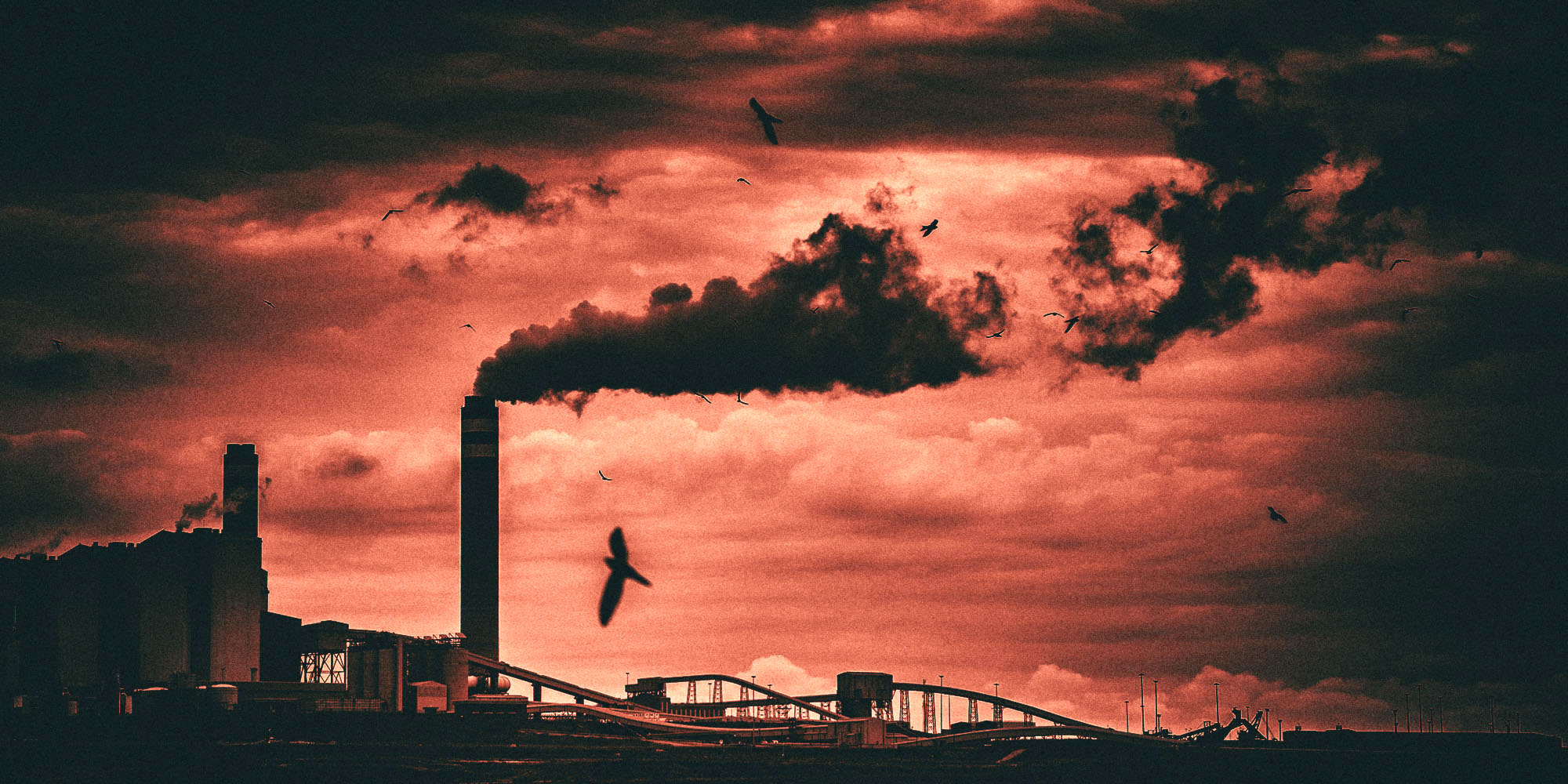 Dark, Dumb and Dangerous: Inside South Africa’s perfect (electrical) storm