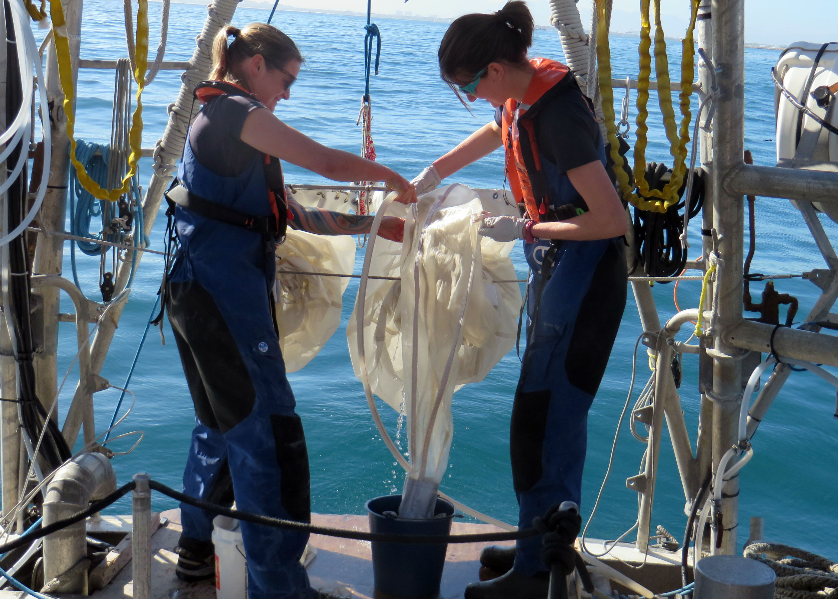 Microbes in African oceans are the service providers and the critical link in the food chain