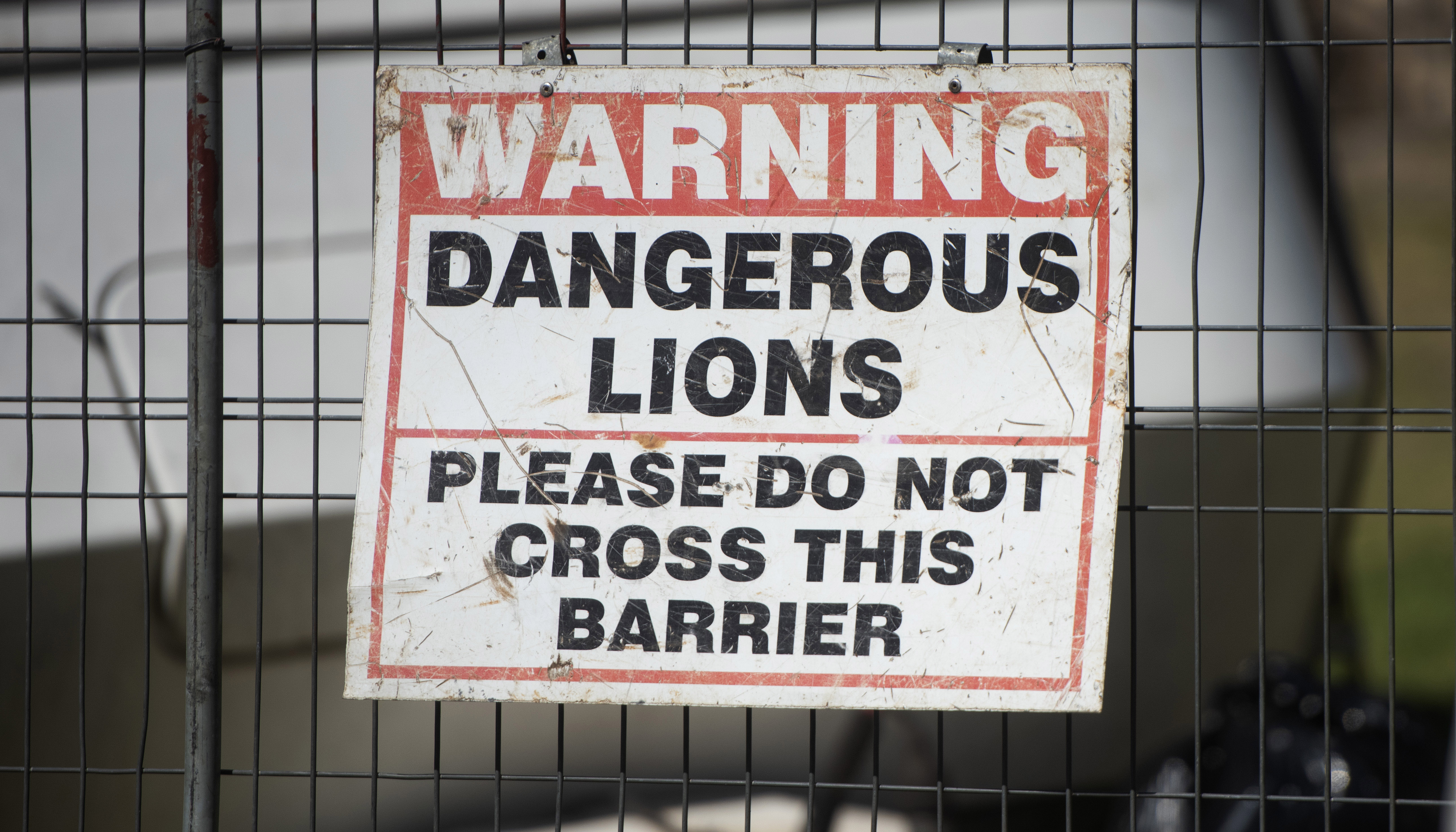 Roll up, move up: Live circus entertainment is evolving - without animal captivity