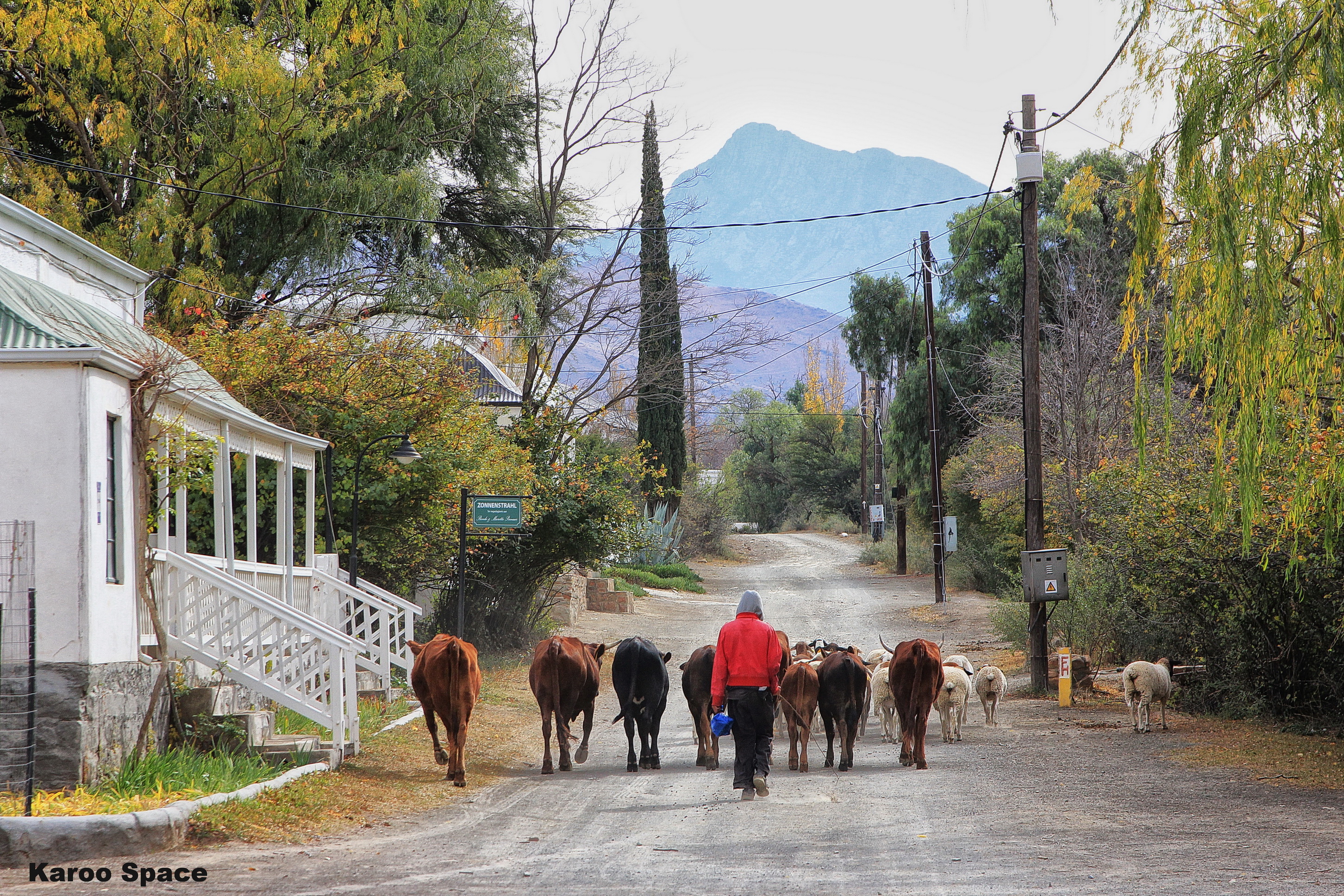 Townsizing to the Karoo