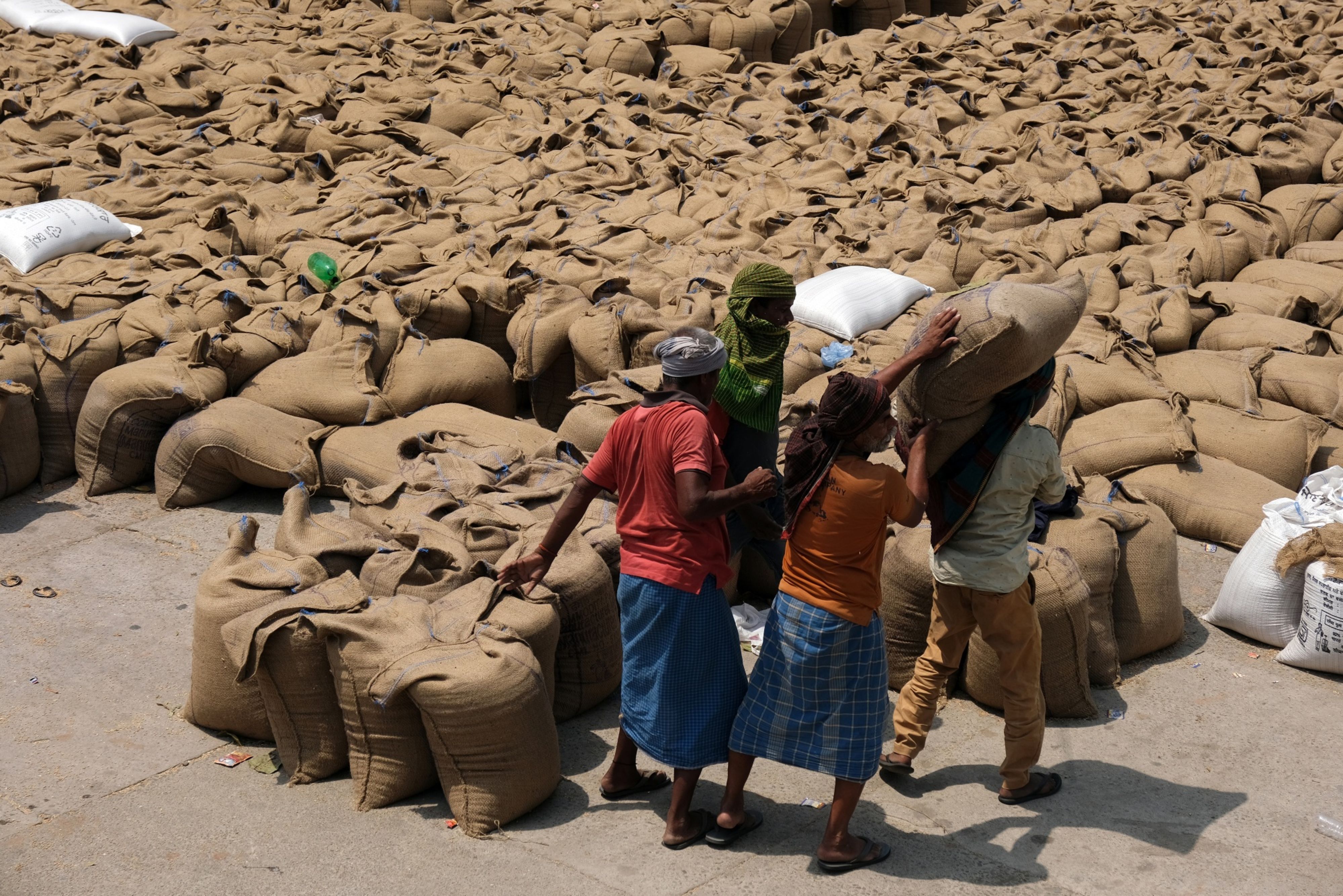 Wheat Harvest As India Experiences Heat Wave