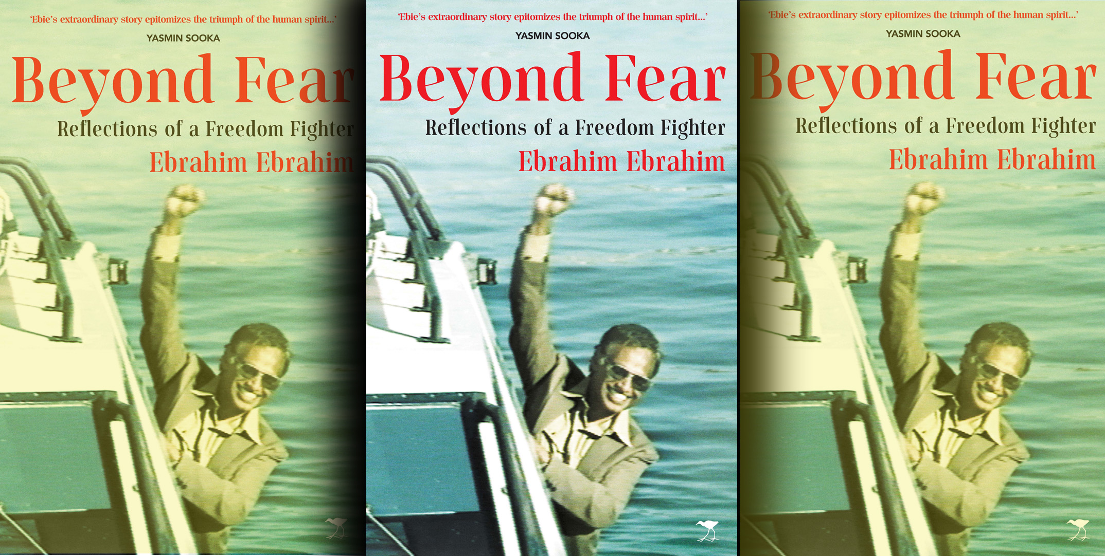 Beyond Fear - Reflections of a Freedom Fighter
