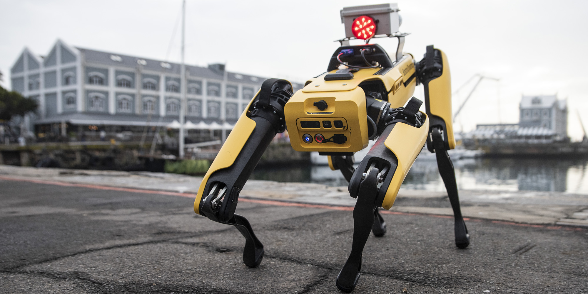 Spot the robotic dog gets tails wagging at mine industry conference in Cape Town