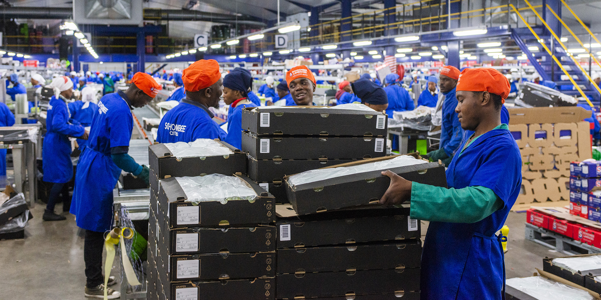 South Africa’s unemployment rate dips to 34.5%