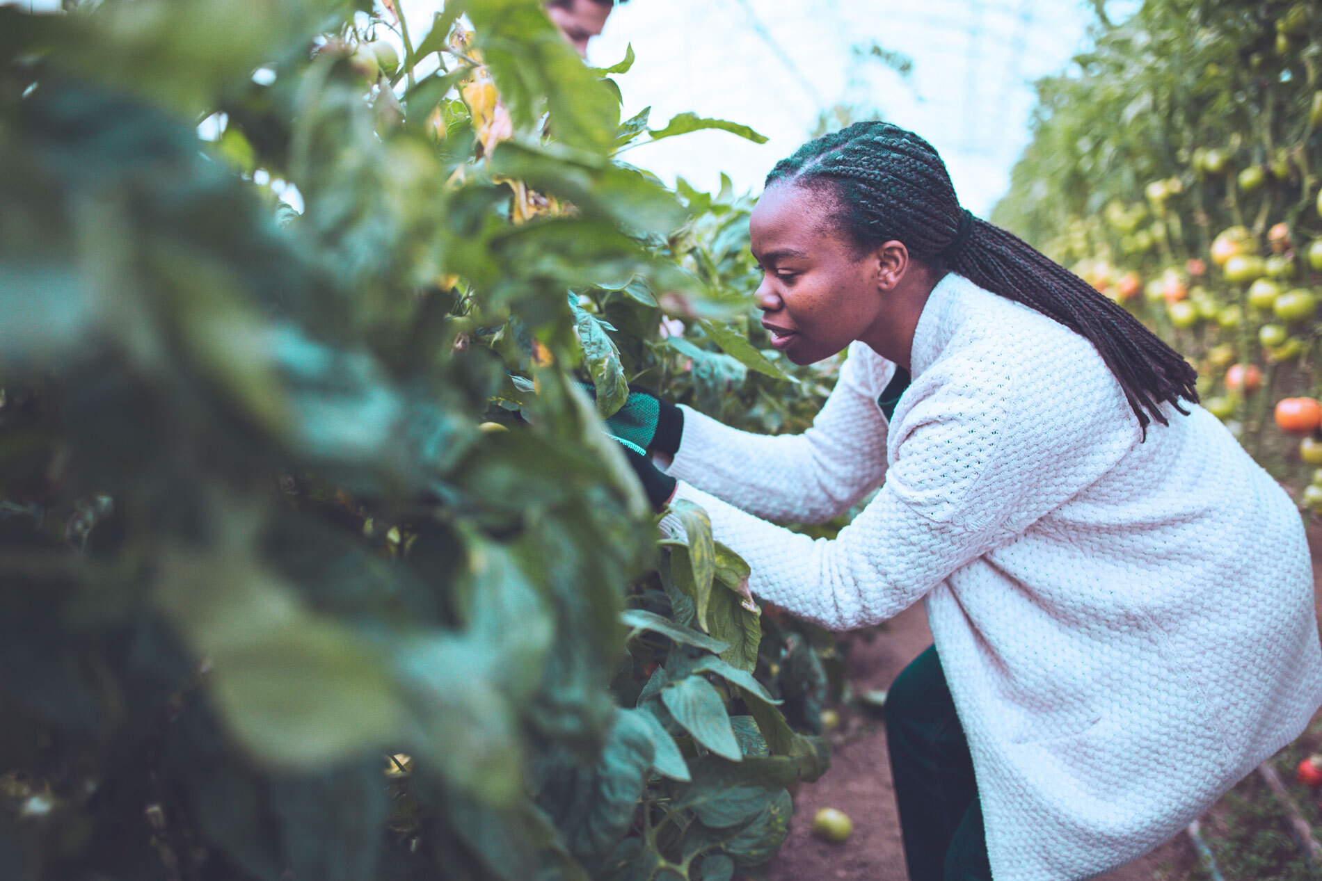 Building a future that delivers growth