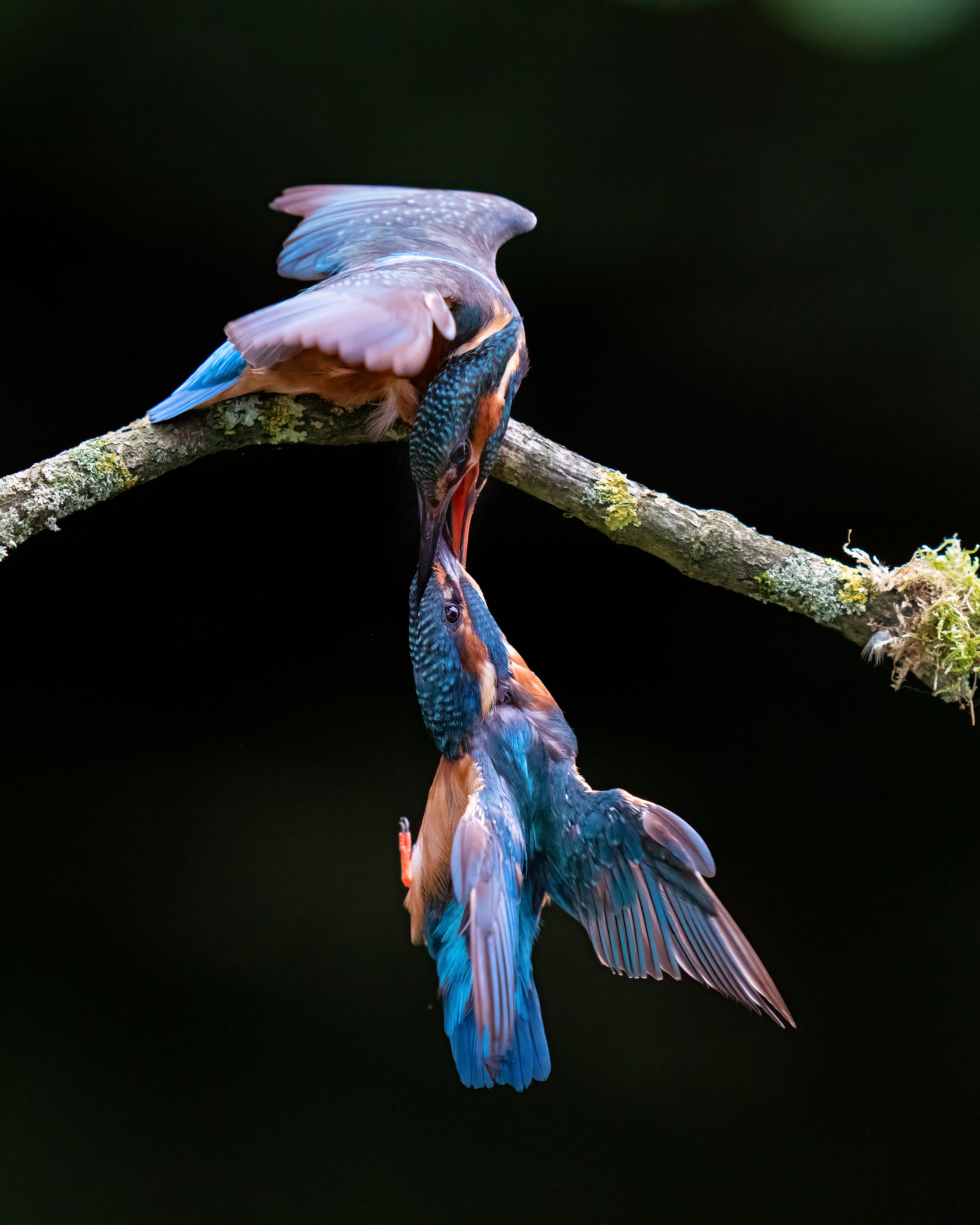 2022 Sony World Photography Awards: Landscape and Natural World