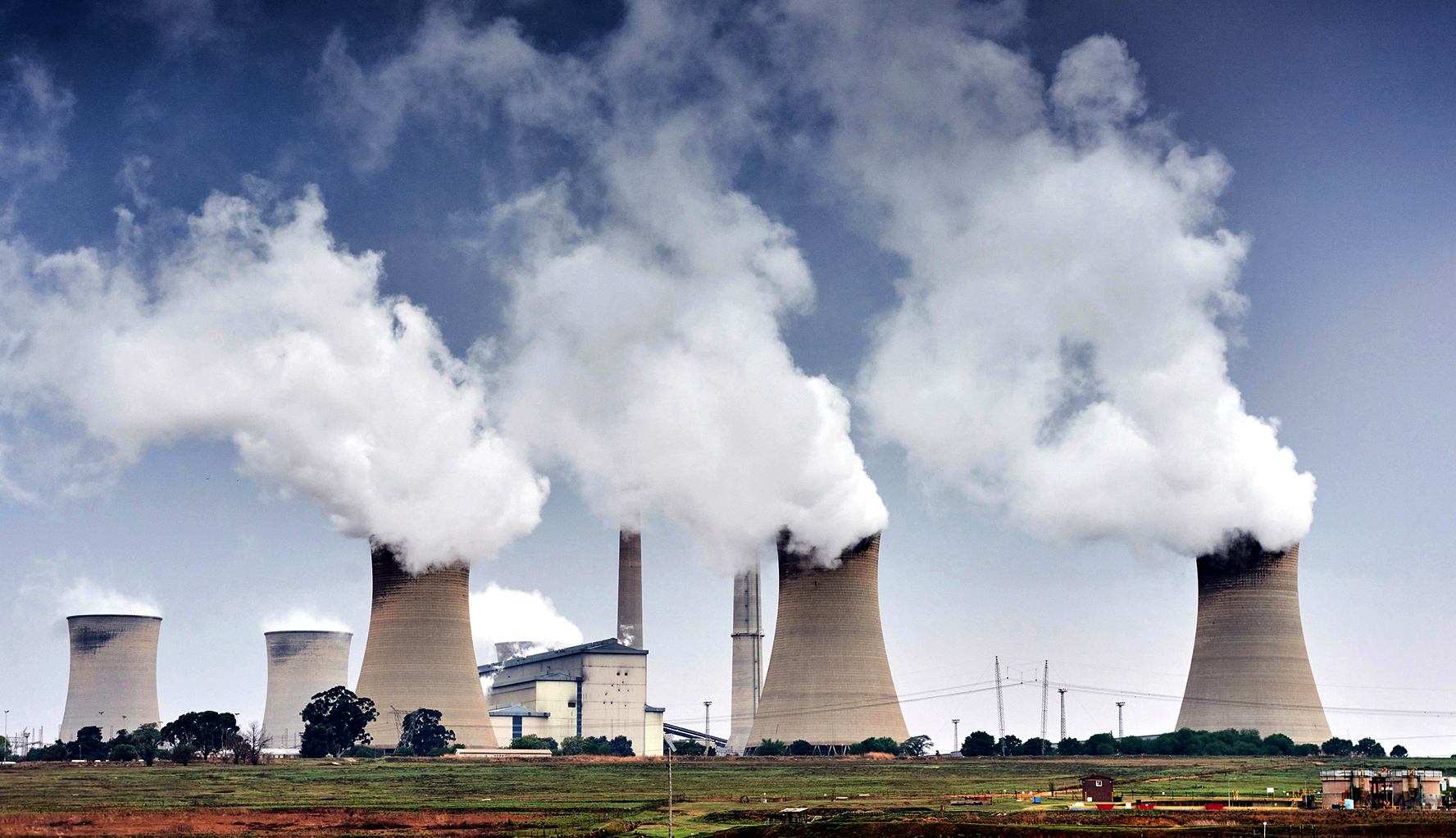 This week – online rally against continuation of Energy Charter Treaty, World Bee Day and talks on xenophobia