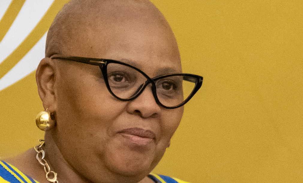 Queenin-opposition-statecapture