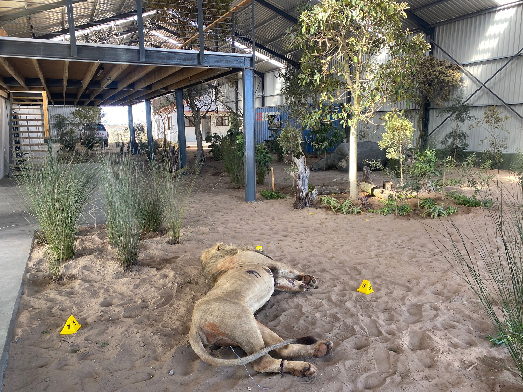 New weapon in fight against wildlife crime launched in Western Cape