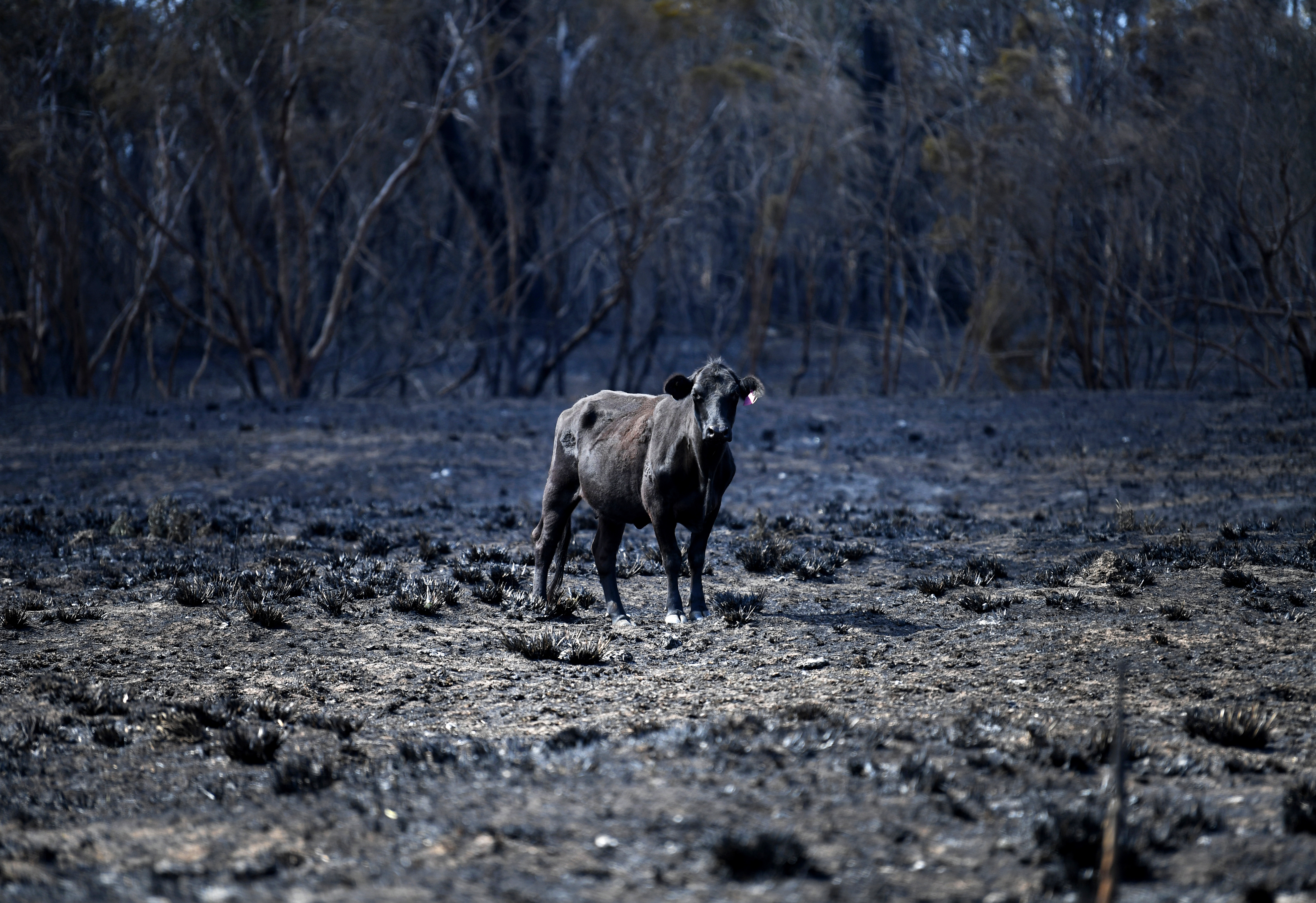 What the climate crisis will do to your food