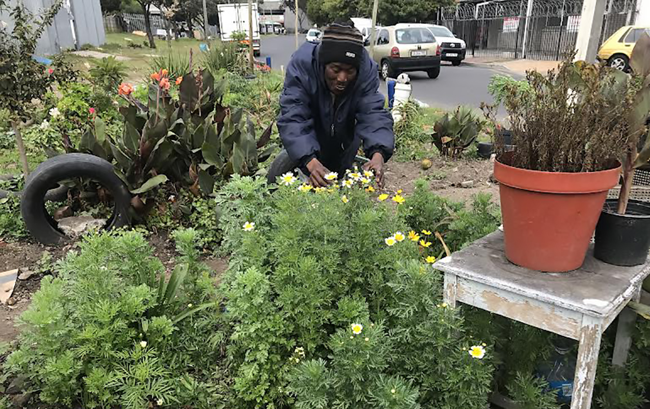 Bylaws vs survival — Lansdowne informal settlement sparks dispute among residents 