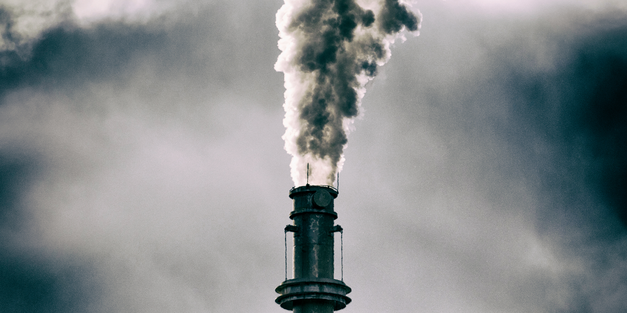 Environmental groups launch legal review of go-ahead for Phinda gas-to-power plant in Richards Bay