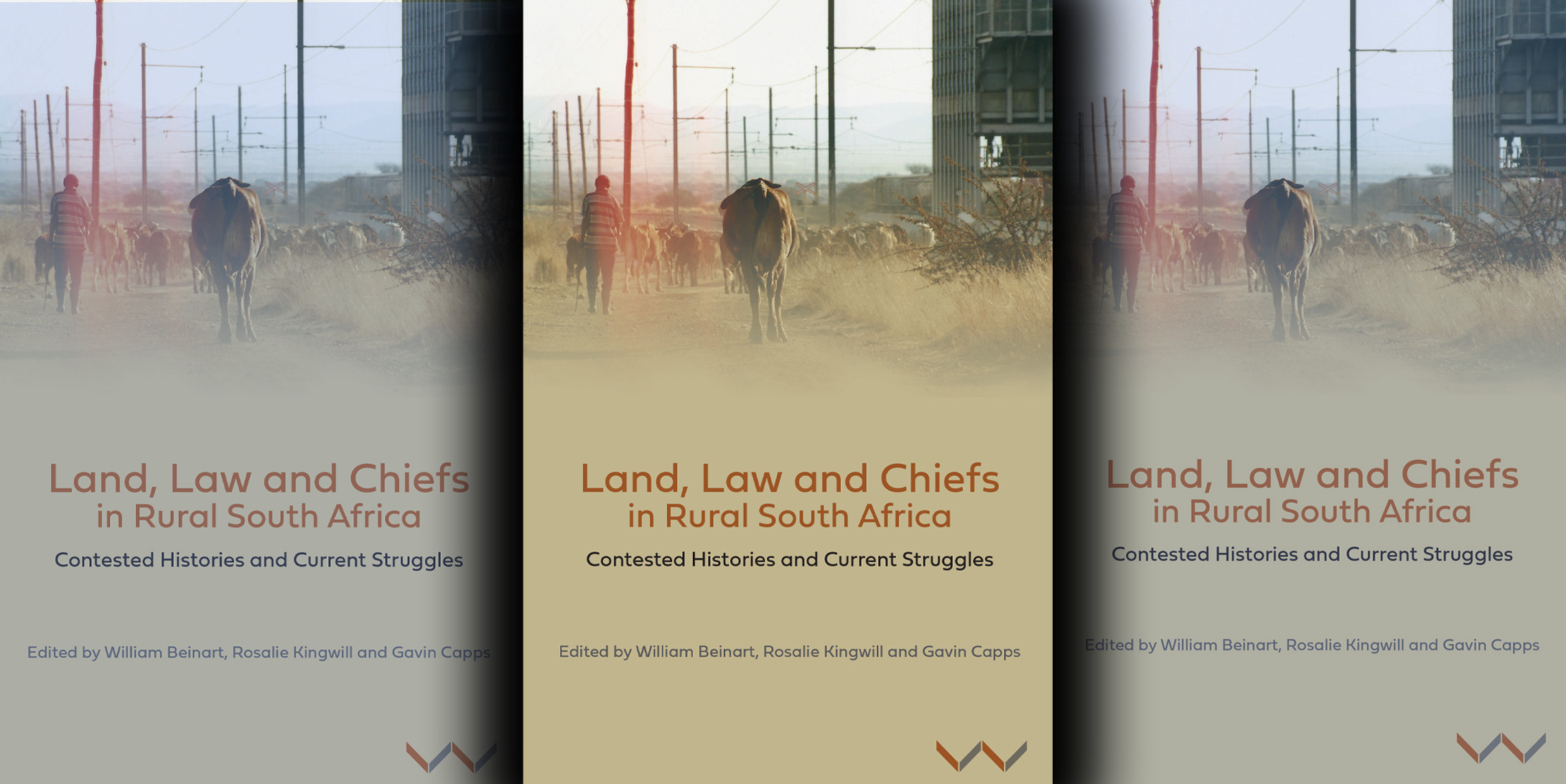 Book review: Apartheid’s pernicious legacy lives on in the former homelands