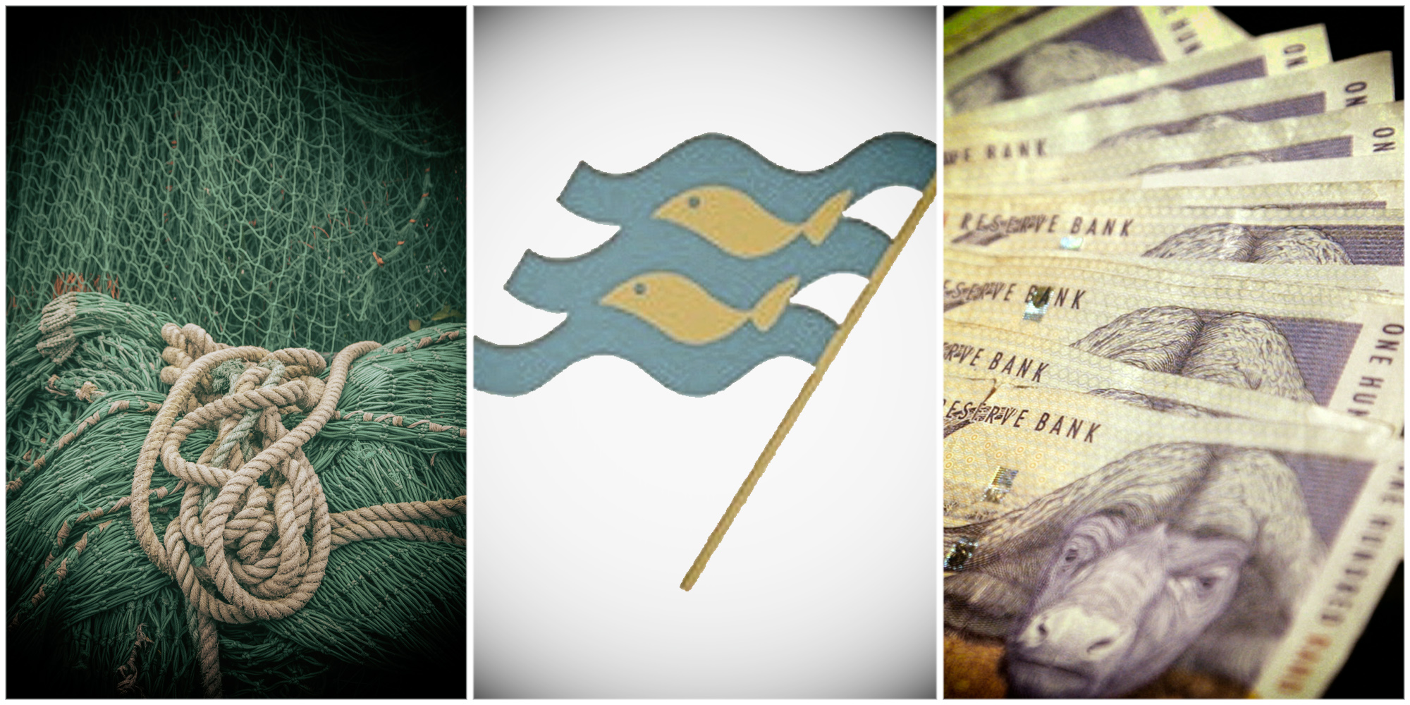 Fishing giant Oceana appoints Mazars as new auditors after PwC's abrupt walkout