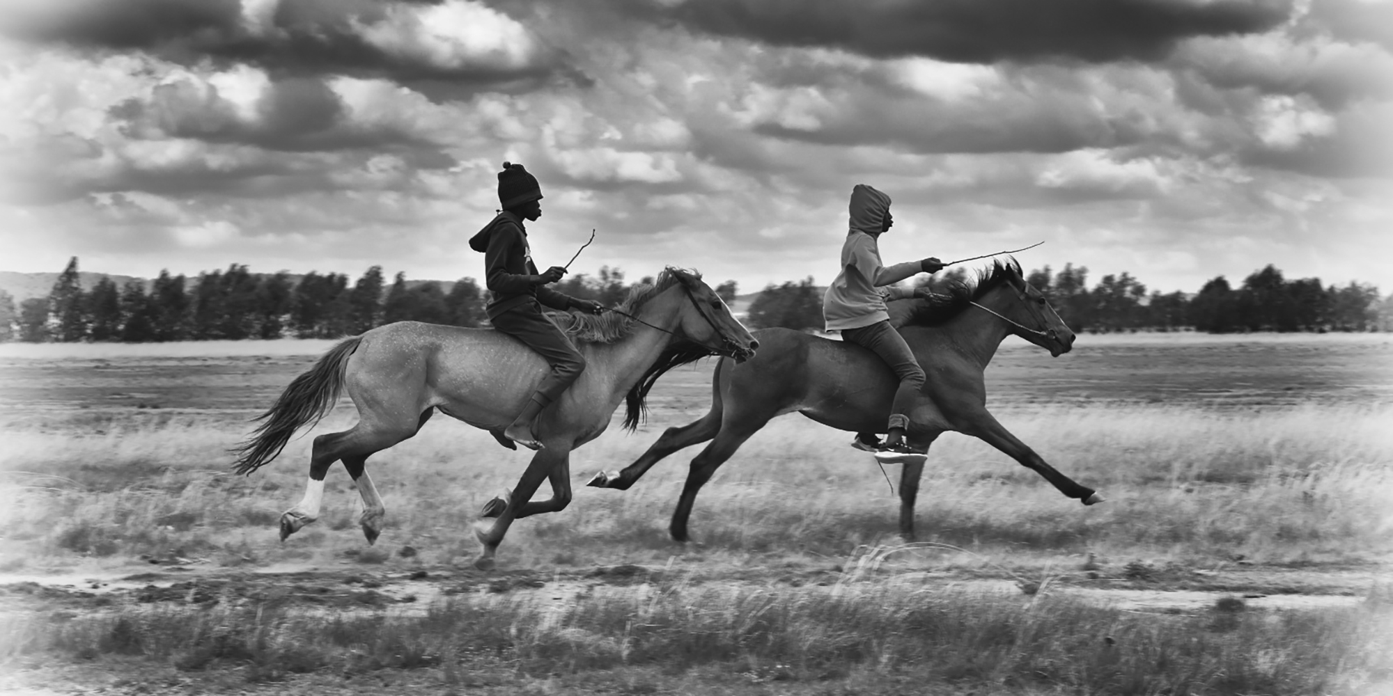 The grim end of the line for ‘reject’ Thoroughbreds