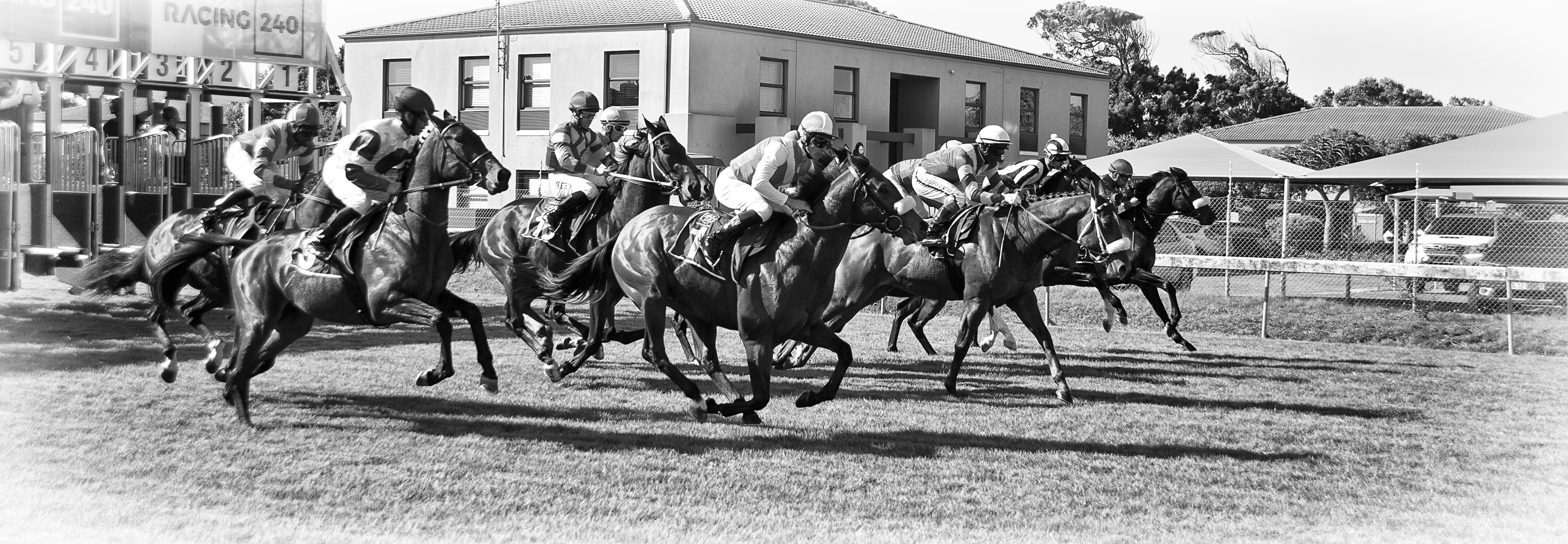 Odds against the Sport of Kings, the last stand for Thoroughbred horses