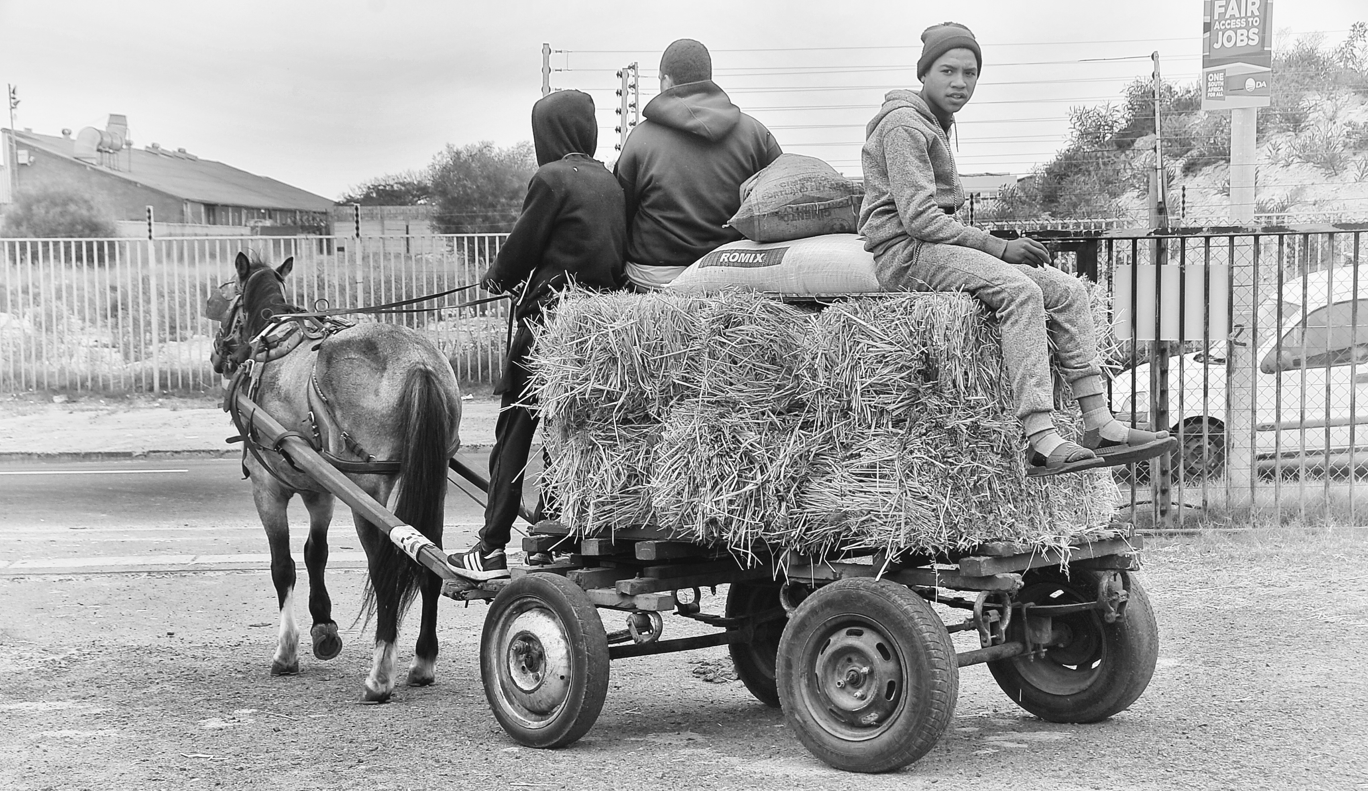 From rock stars to obscurity – searching for lost Thoroughbreds